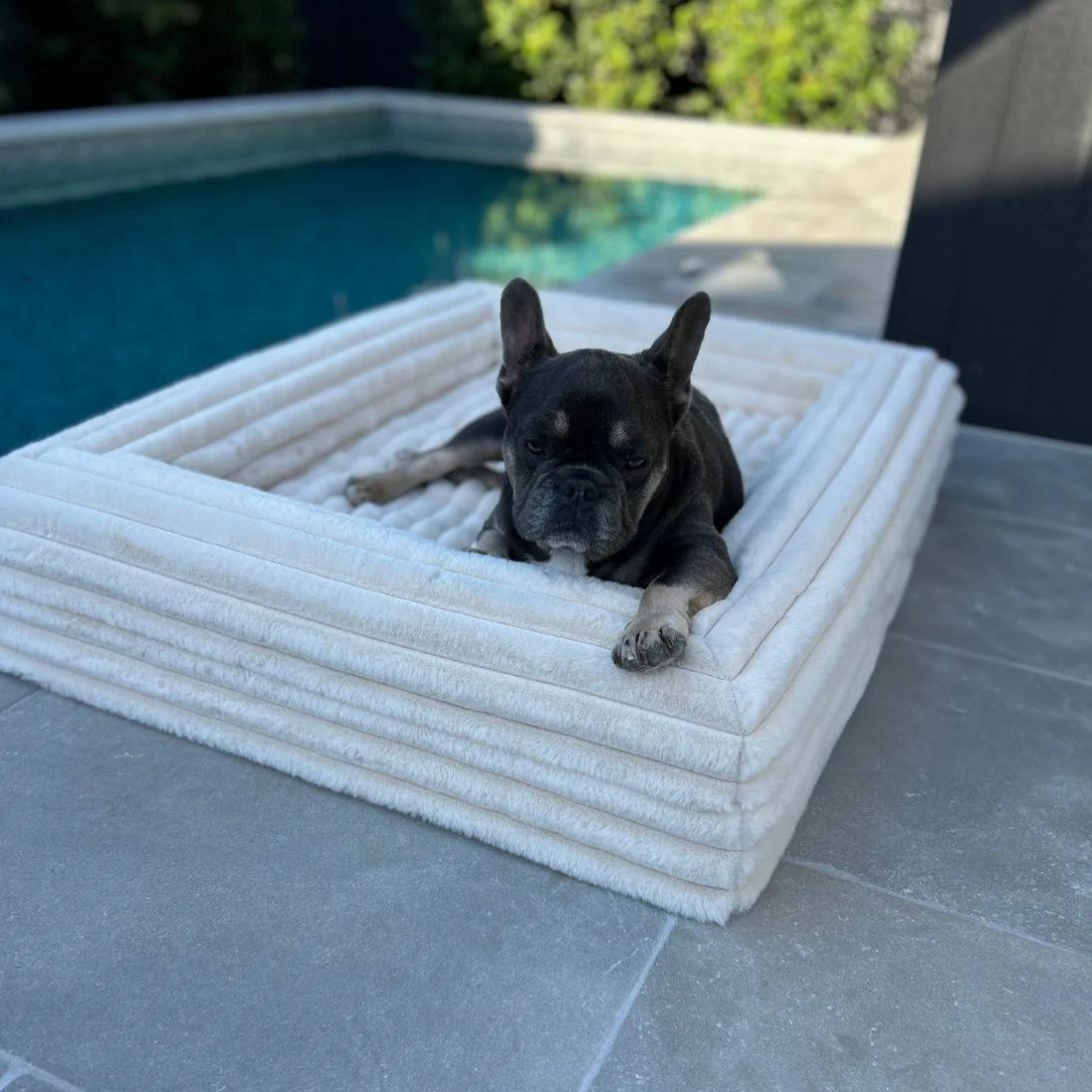 Dazy Dog Bed Cover Puffer Bone