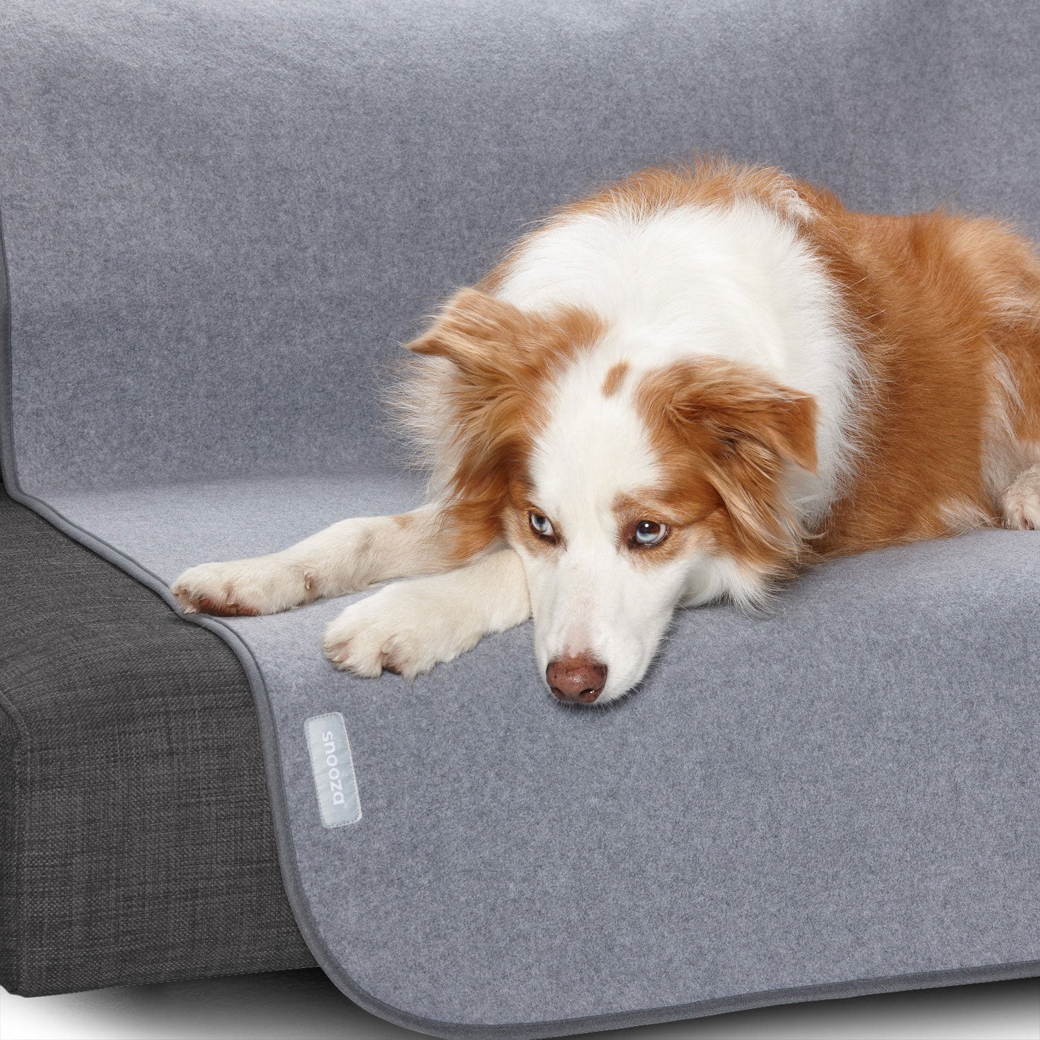 Snooza Waterproof Pet Furniture Protector Blanket
