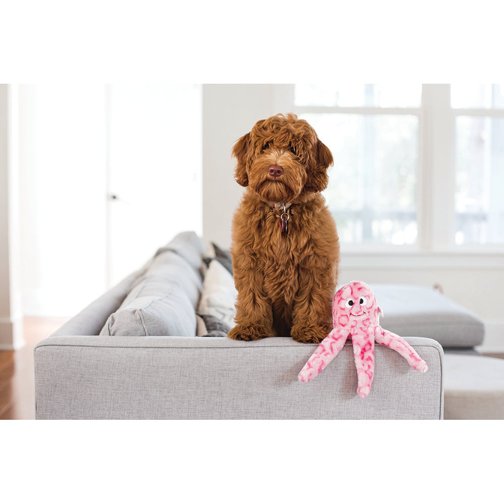 Zippypaws Floppy Jelly Dog Toy