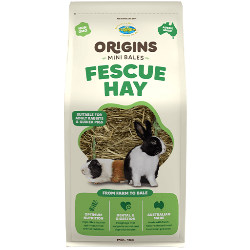 Vetafarm Origins Fescue Hay Mini Bale 1kg