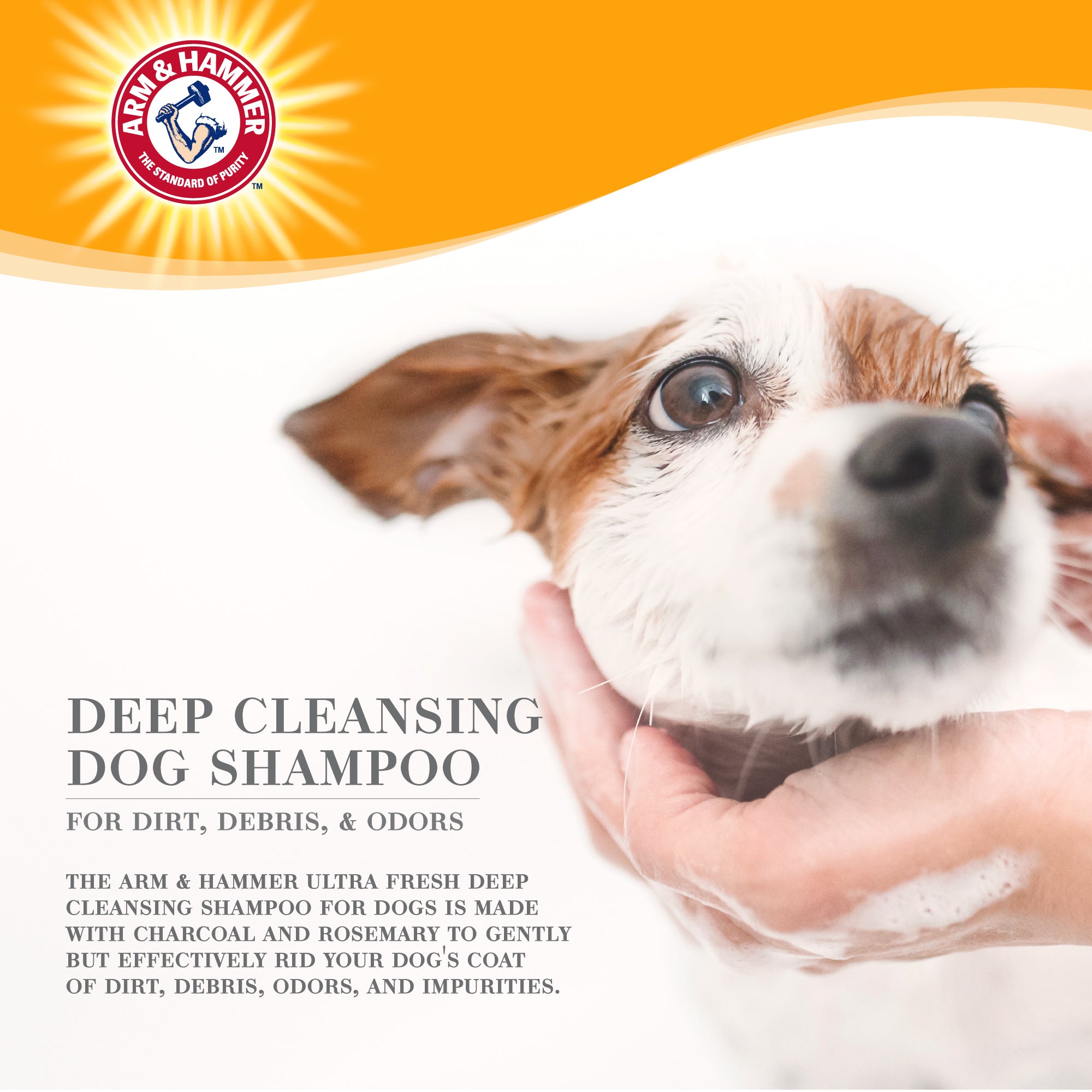 Arm and Hammer Ultra Fresh Deep Cleansing Shampoo with Charcoal & Rosemary 473ml