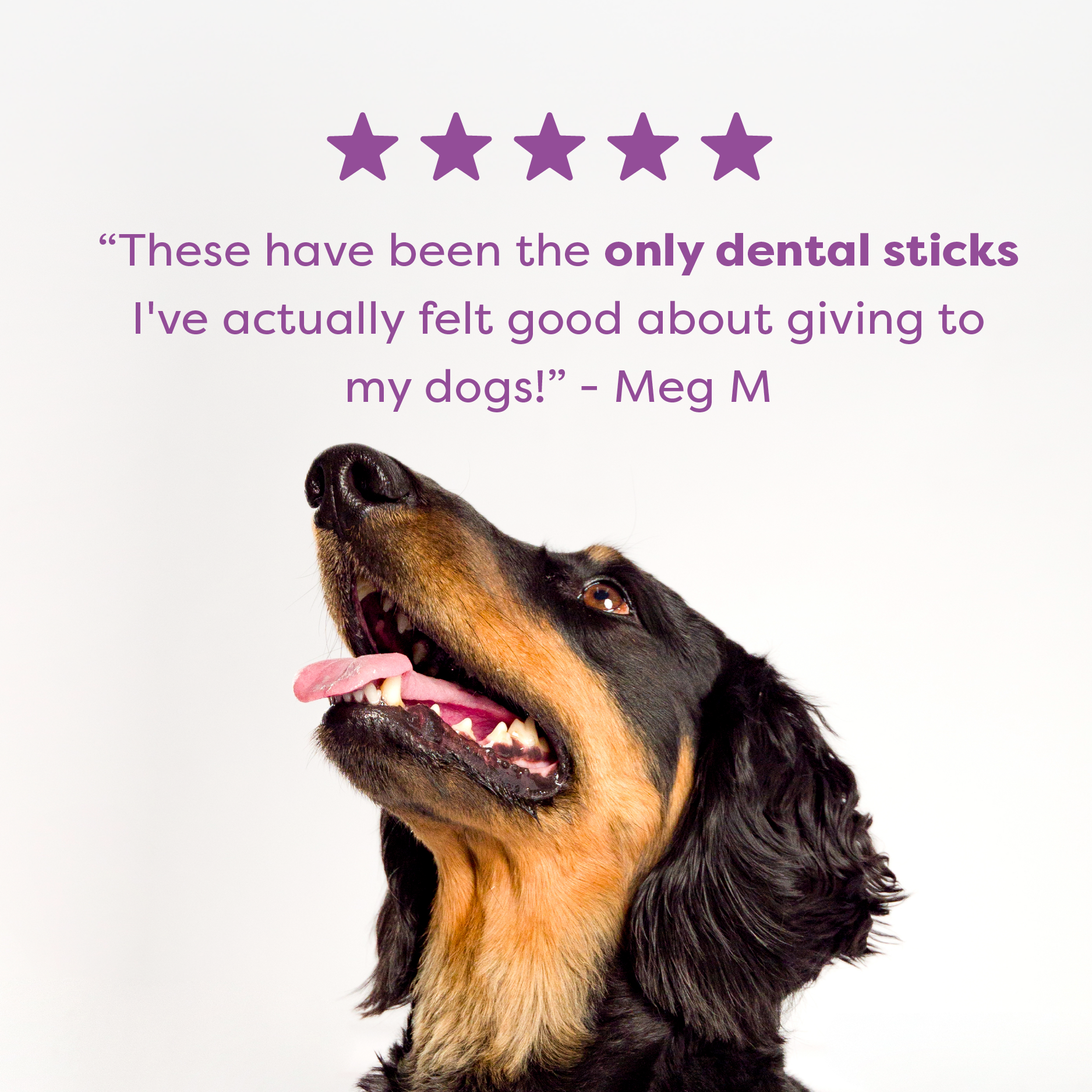 Bell & Bone Dog Dental Sticks Kangaroo Mint and Turmeric