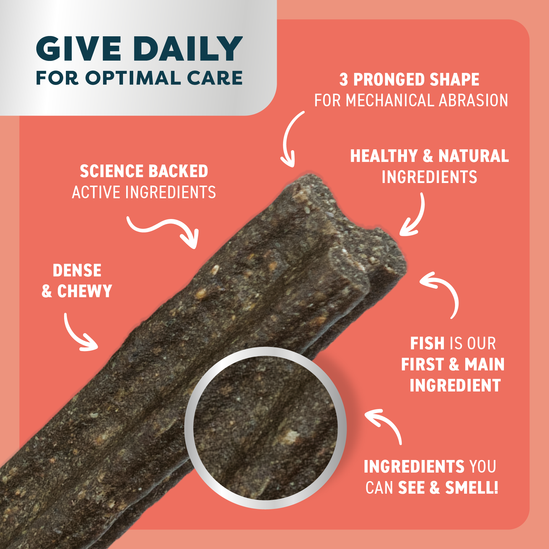 Bell & Bone Dog Dental Sticks Salmon Mint and Charcoal