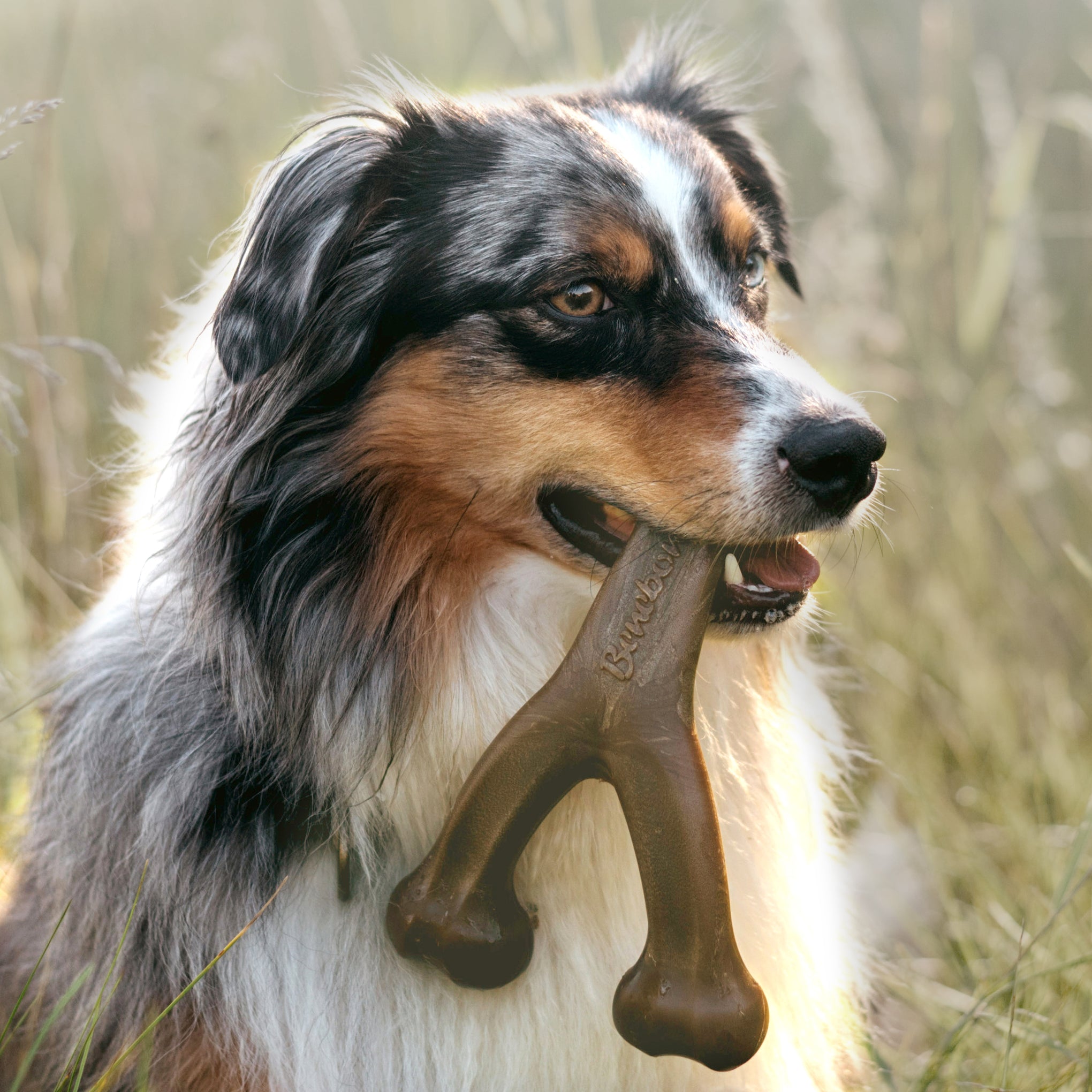 Benebone Wishbone Peanut Dog Toy