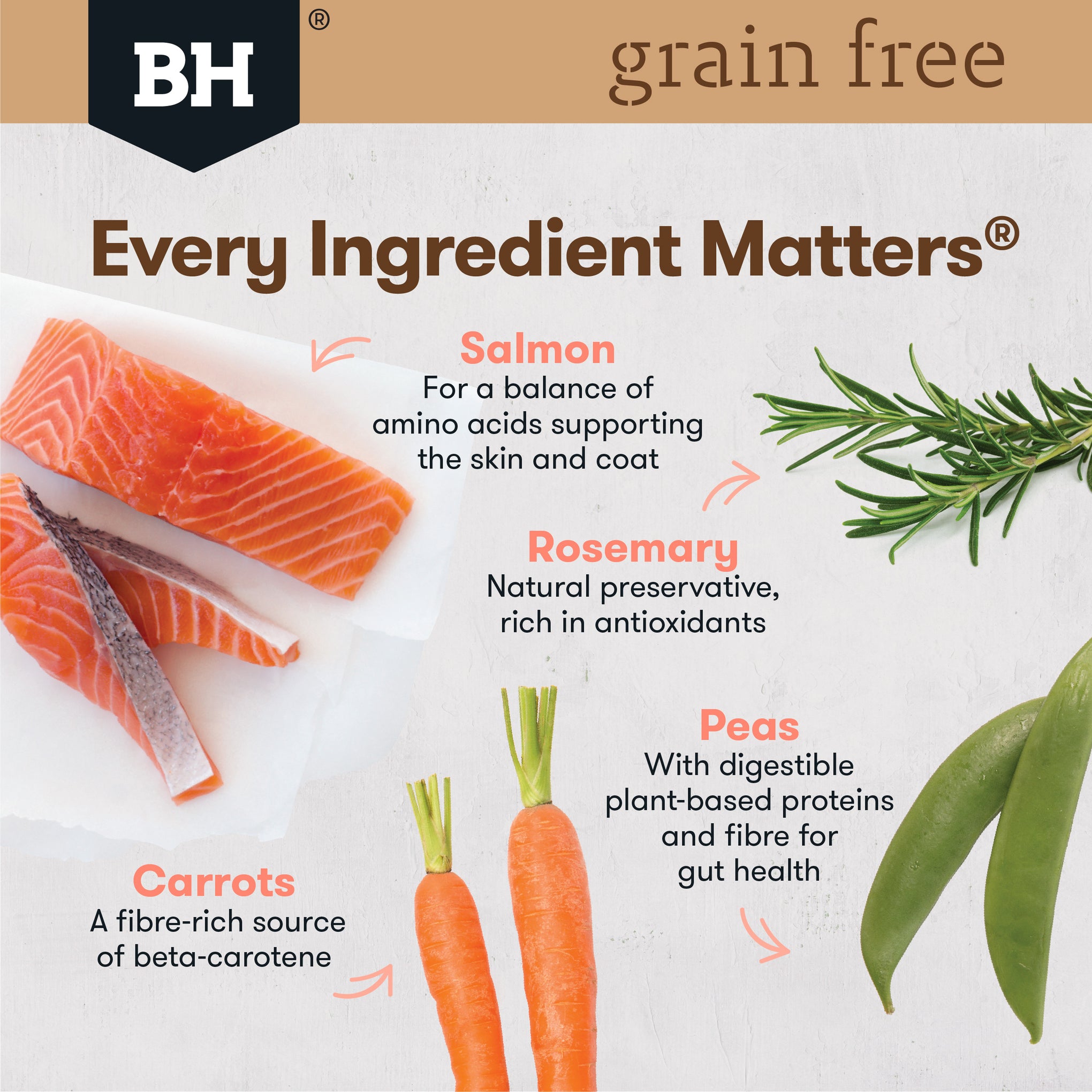 Black Hawk Grain Free Adult Salmon Dry Dog Food