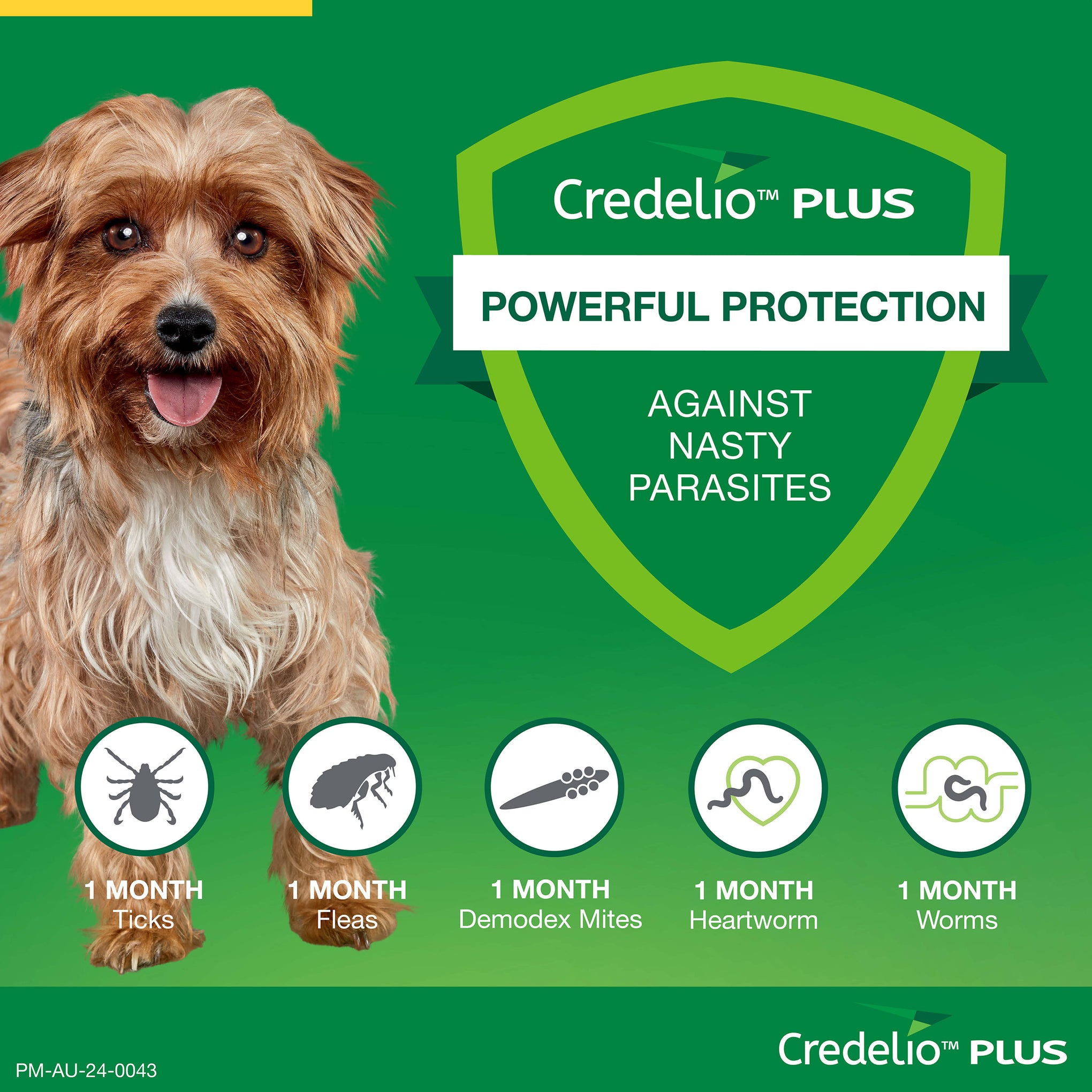 Credelio Plus Extra Small Dog Chews 1.4-2.8kg (Yellow) 1 Pack