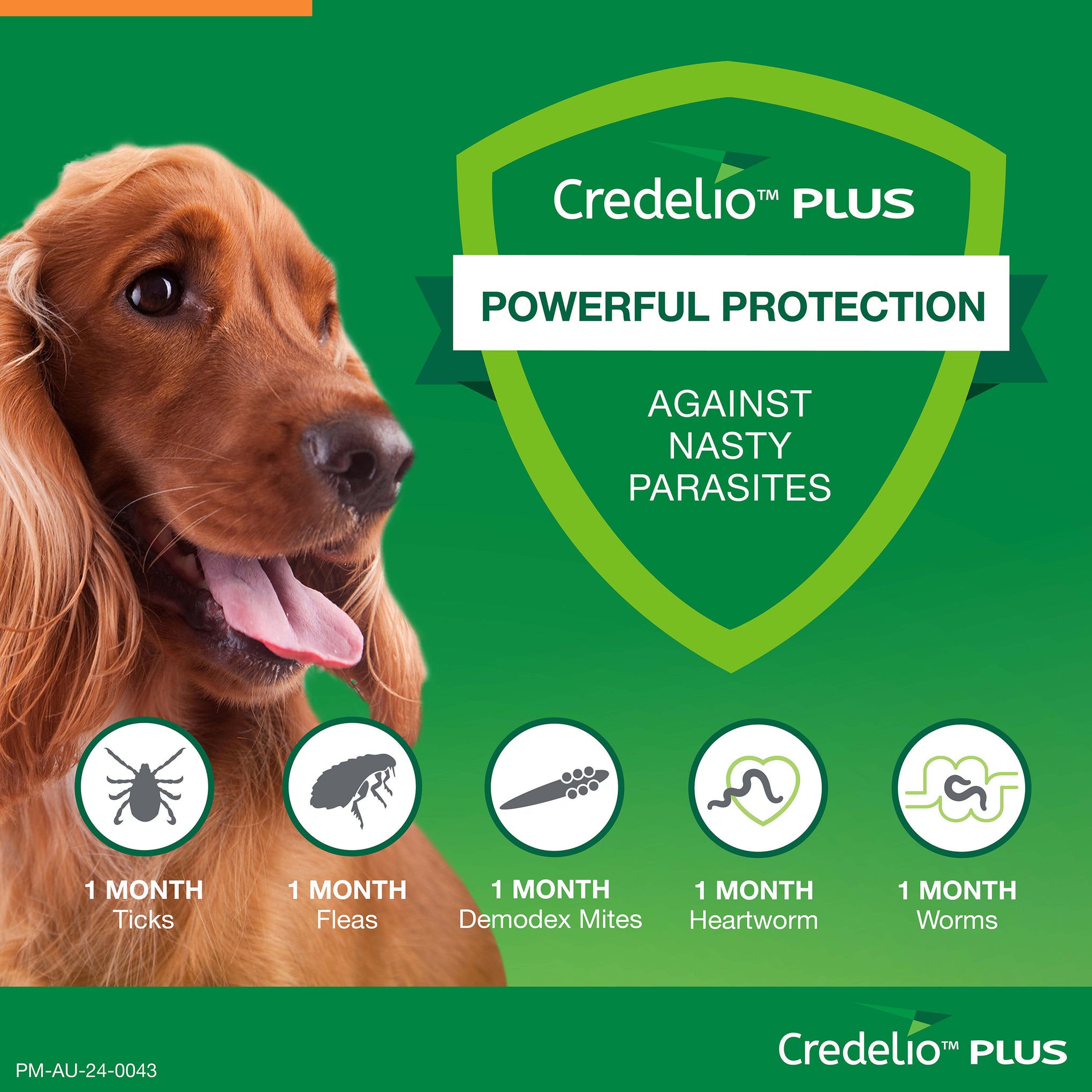 Credelio Plus Medium Dog Chews 5.5-11kg (Orange)