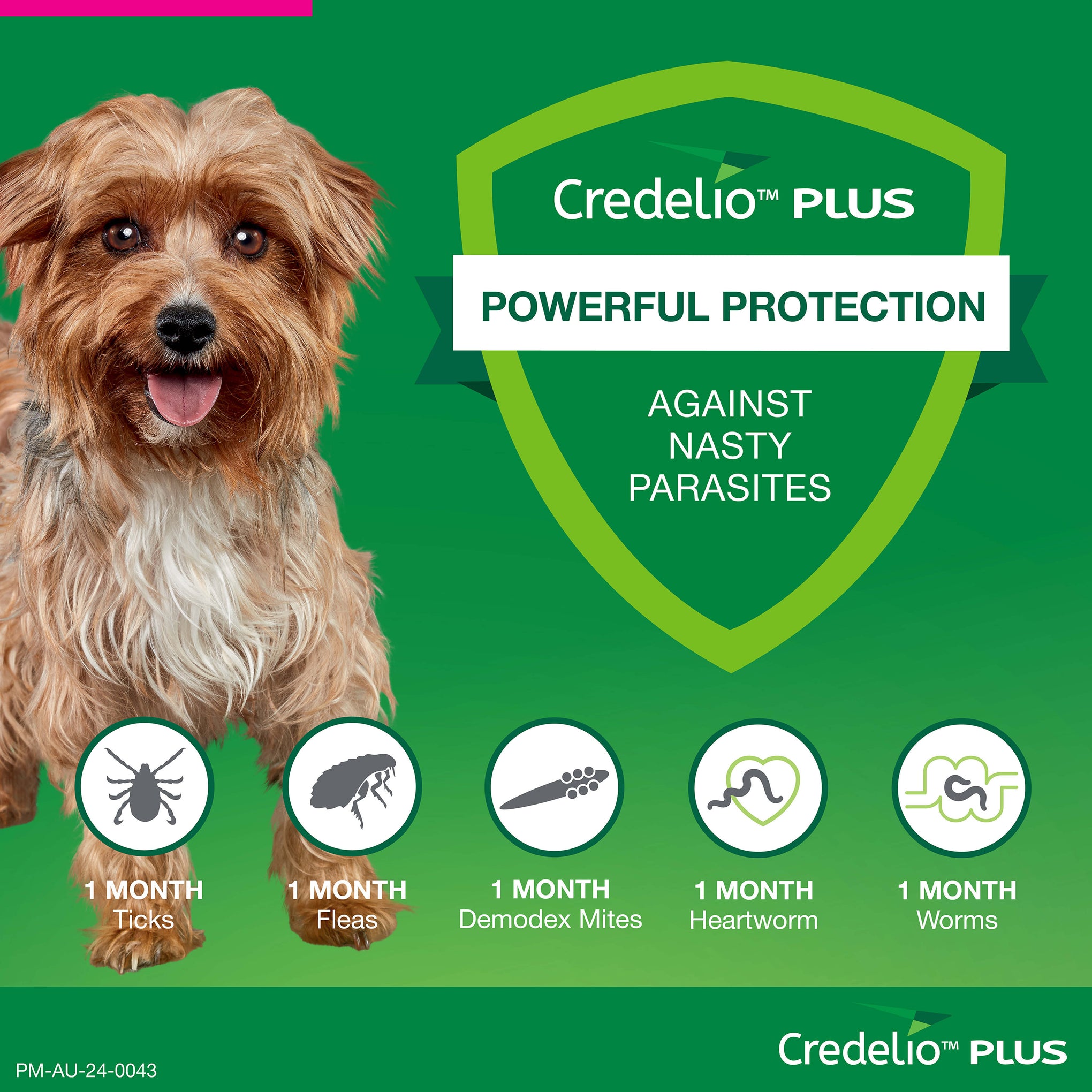 Credelio Plus Small Dog Chews 2.8-5.5kg (Pink)