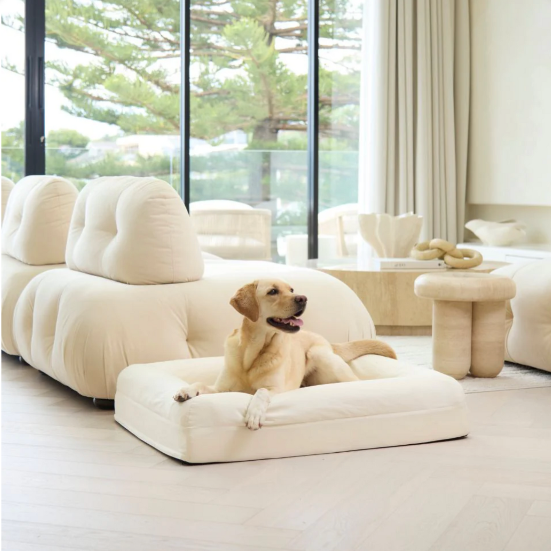 Dazy Dog Bed Cover Outlast Cooling Natural