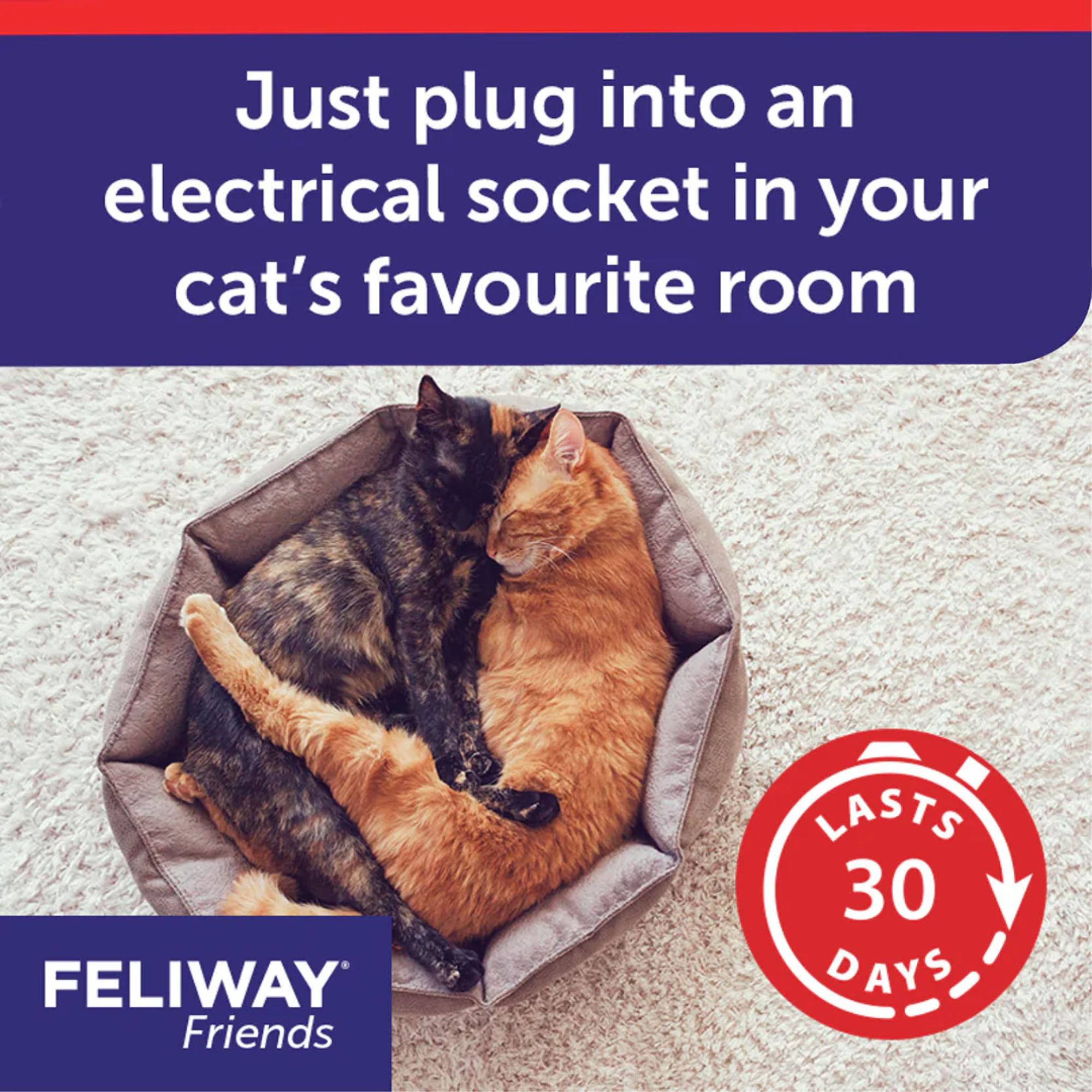 Feliway Friends Diffuser & Refill 48ml