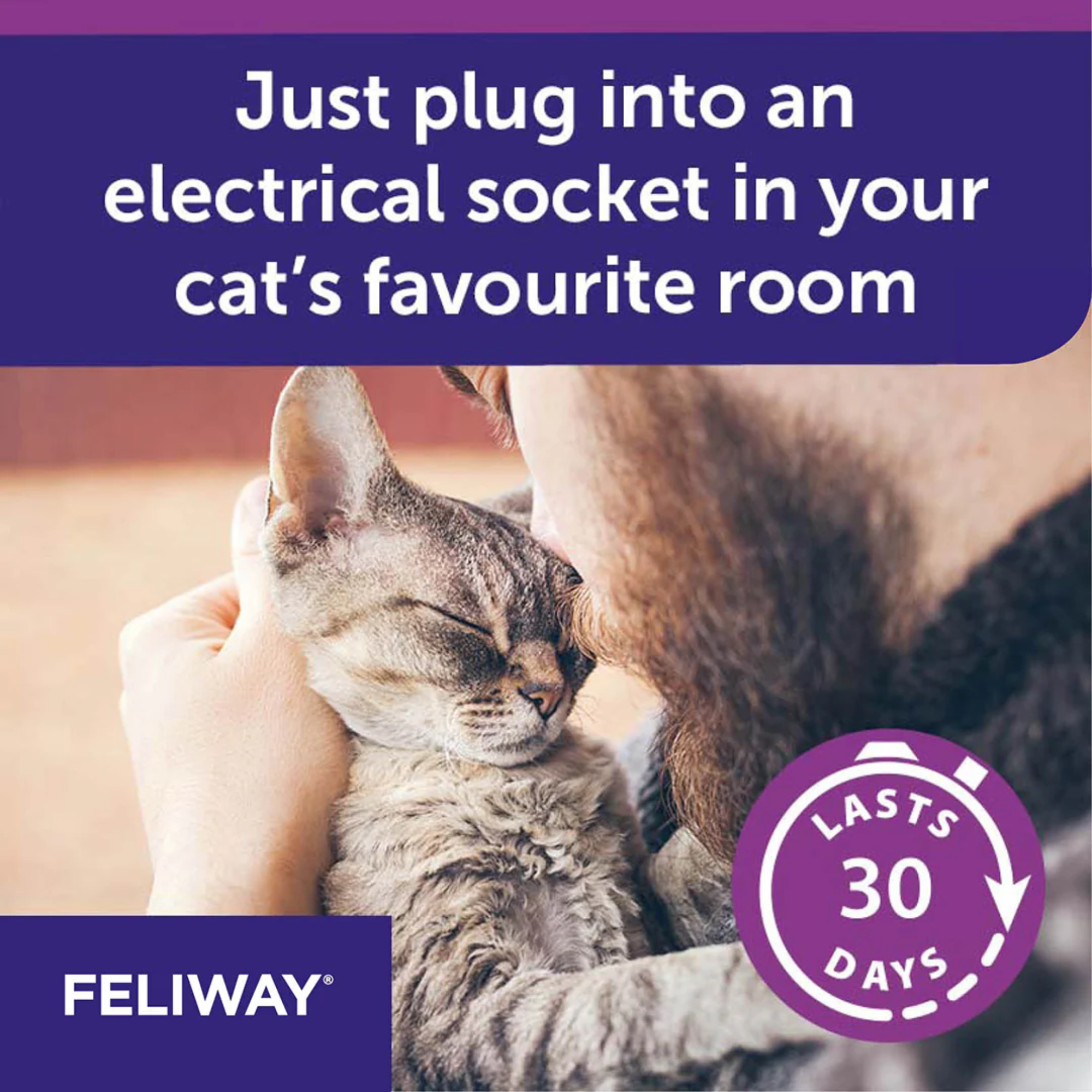 Feliway Refill