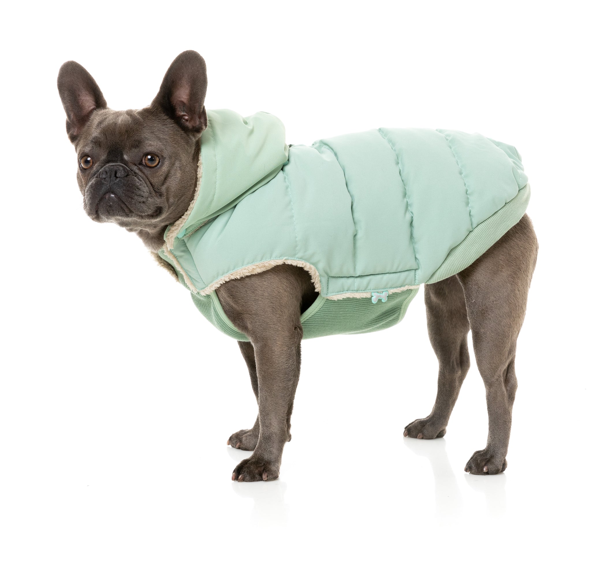 FuzzYard Essential Puffer Dog Jacket Mint