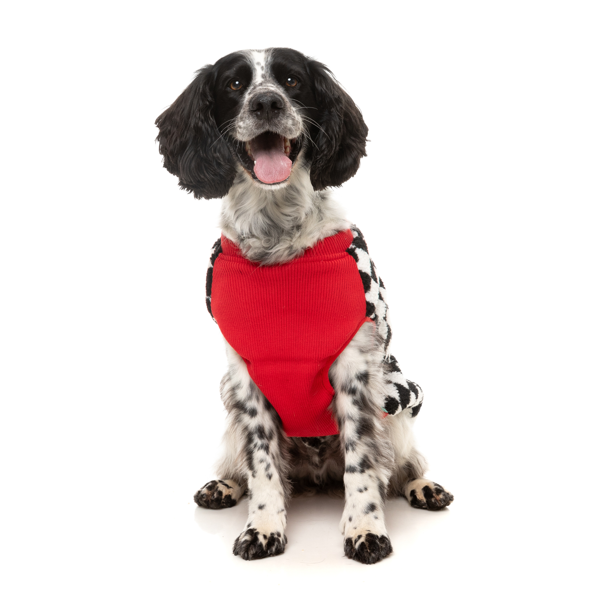 FuzzYard Ollie Dog Jacket Red