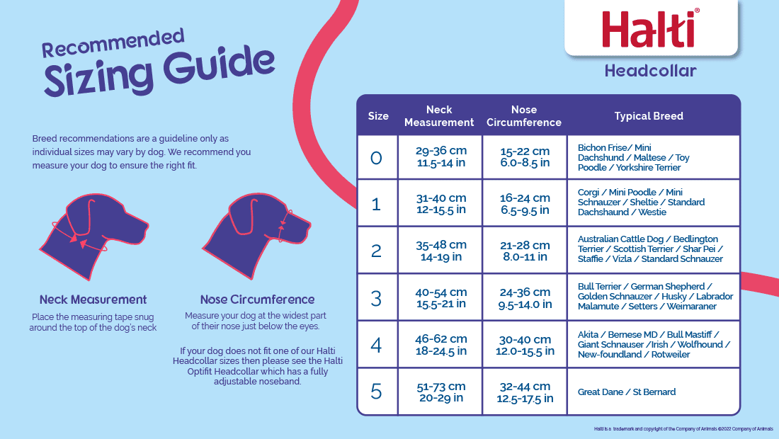 Halti Dog Headcollar Black