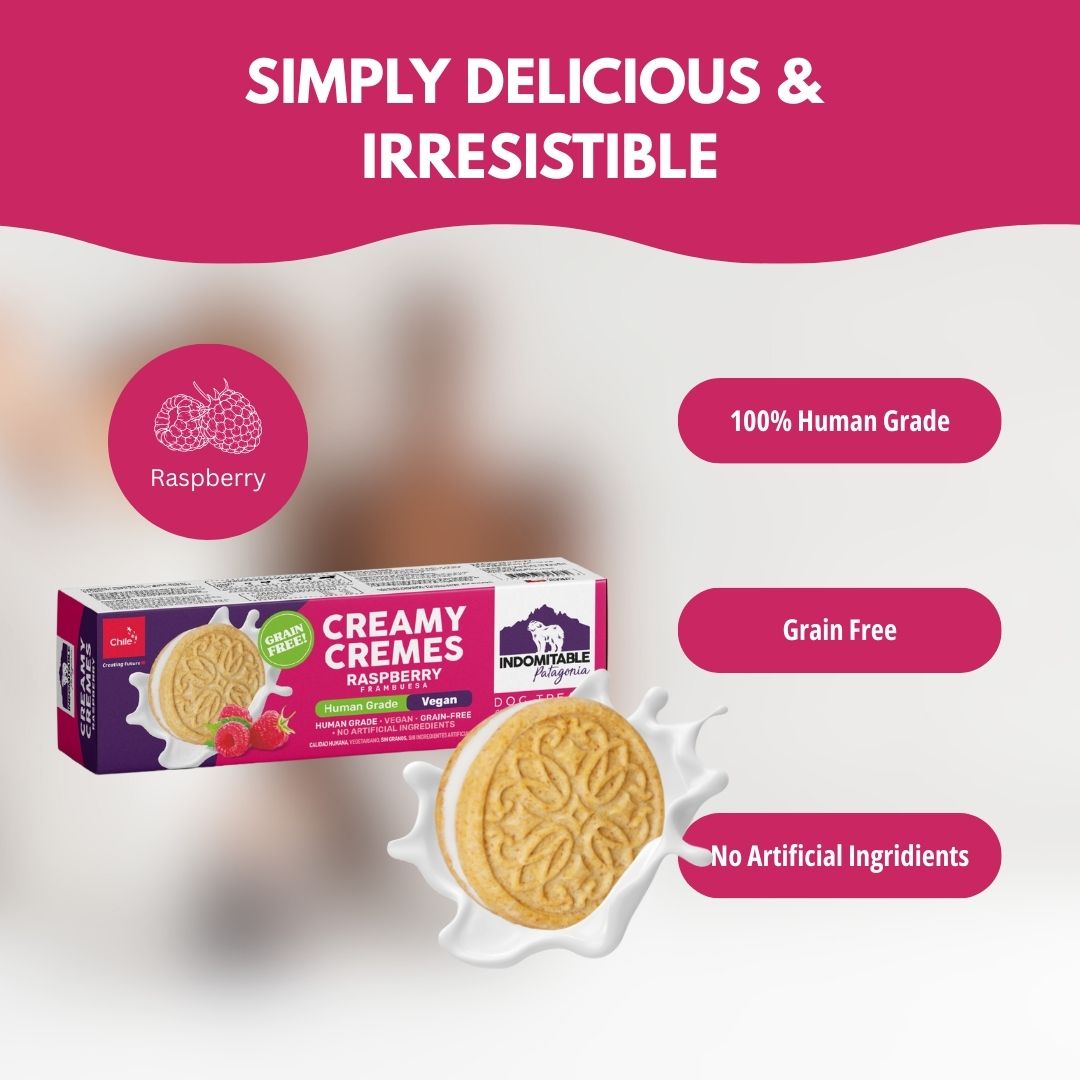Indomitable Patagonia Creamy Cremes Raspberry Grain Free Dog Treats 120g