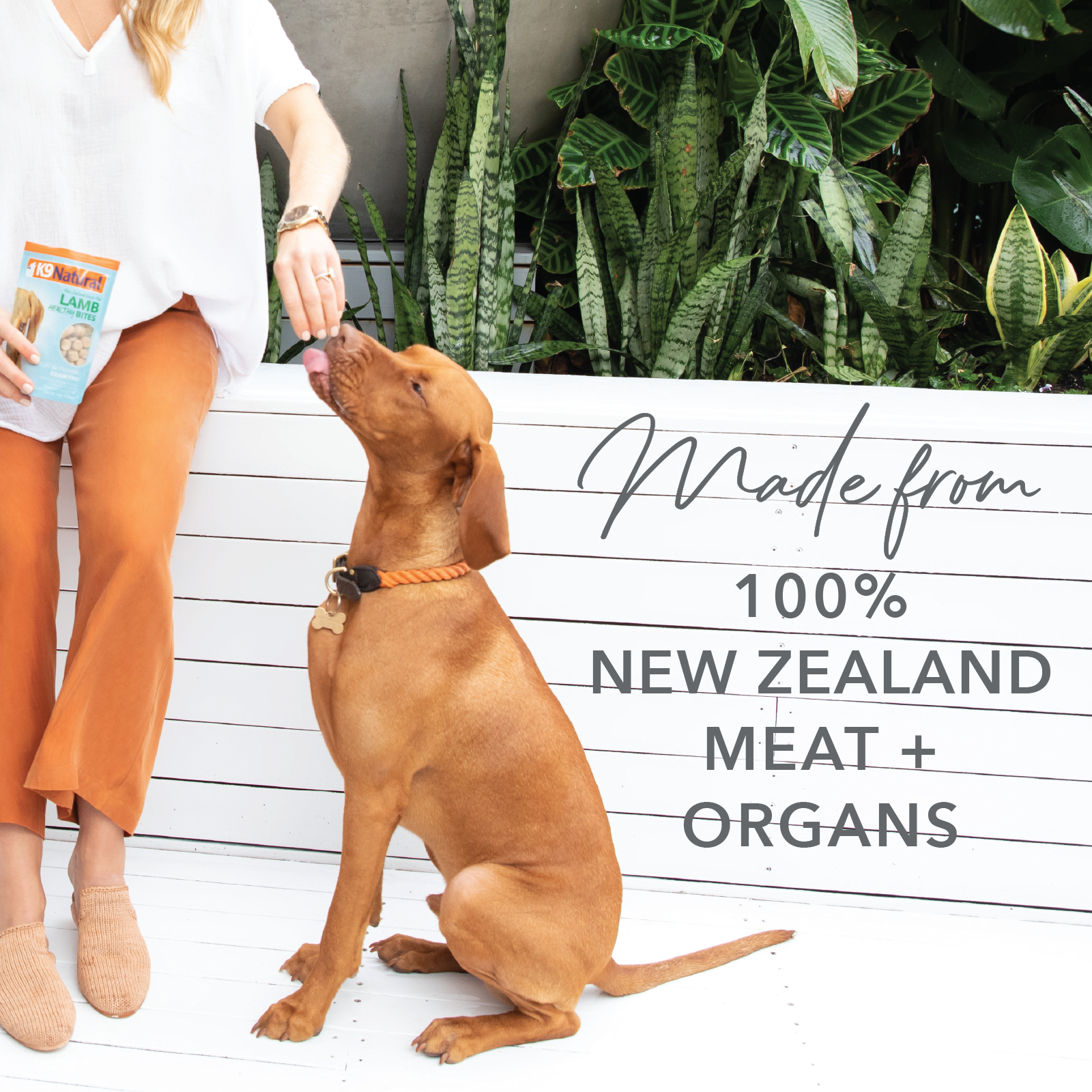 K9 Natural Grain Free Air Dried Dog Treat Protein Bites Lamb Lung 50g