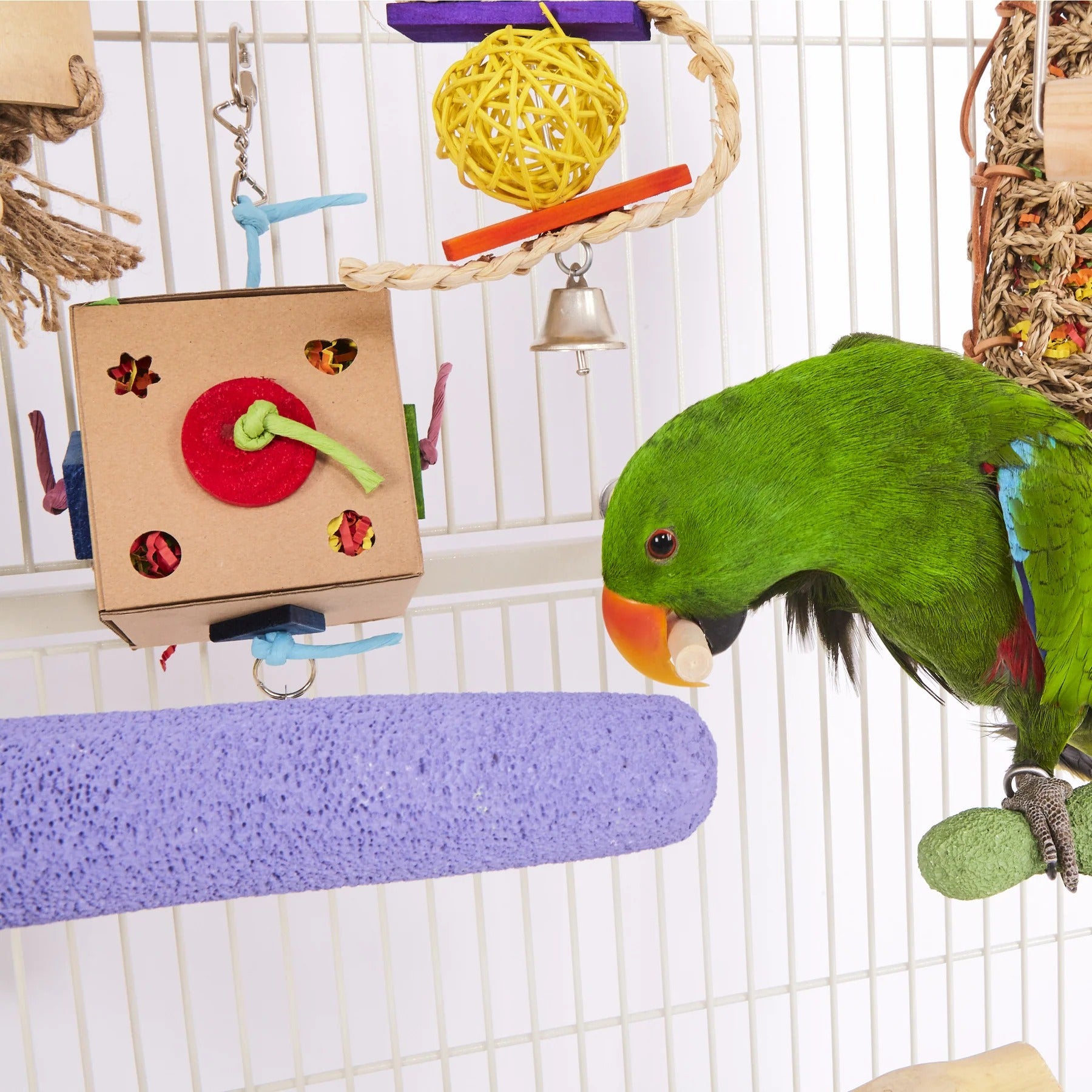Kazoo Cardboard Activity Box with Bell Bird Toy Large