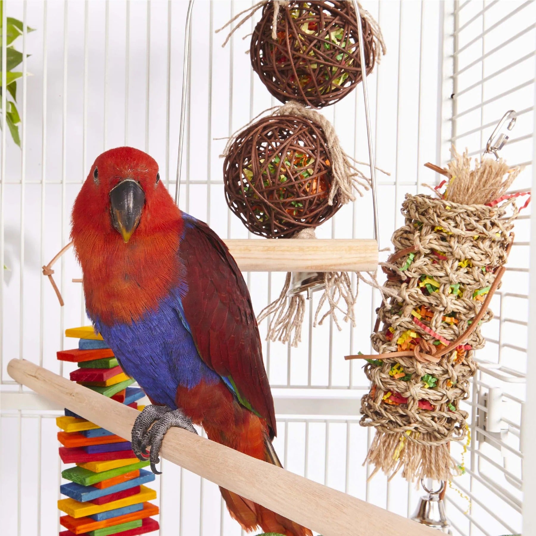 Kazoo Rainbow Sisal Tower Bird Toy Medium