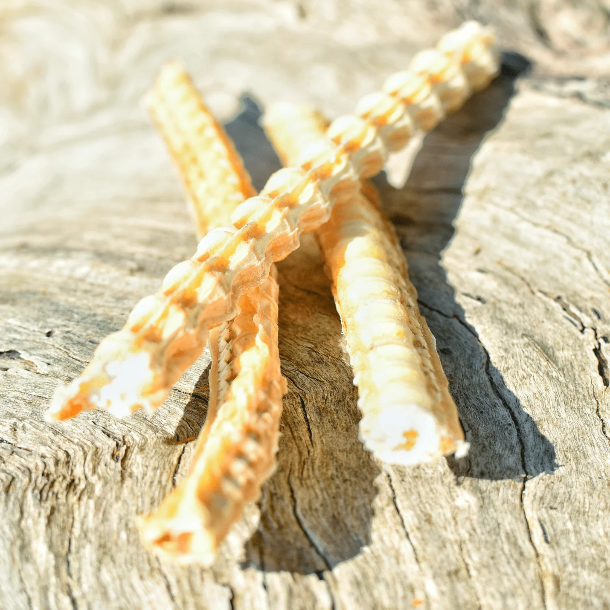 Lulu's Kitchen Don't Go Swimmin Shark Cartilage Dog Treat 100g