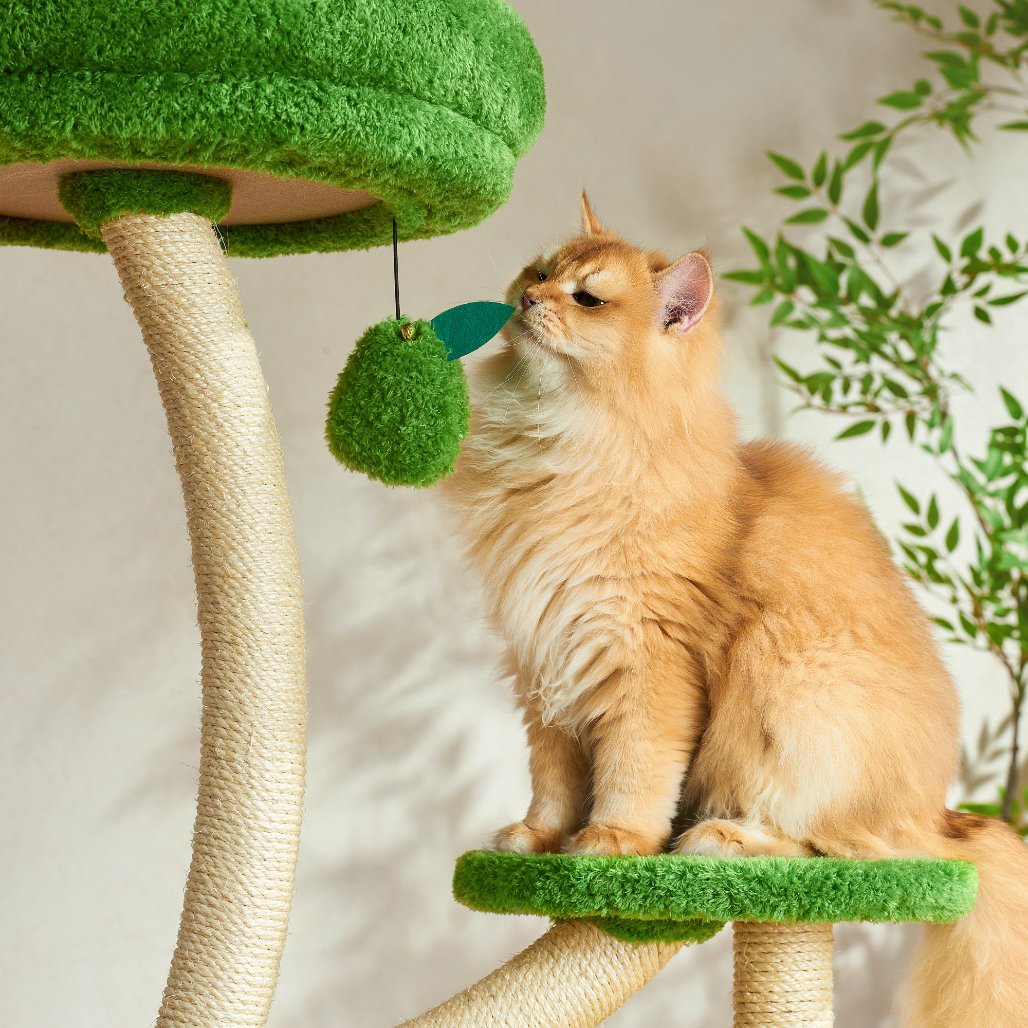 Michu Verde Solid Wooded Base Cat Tree
