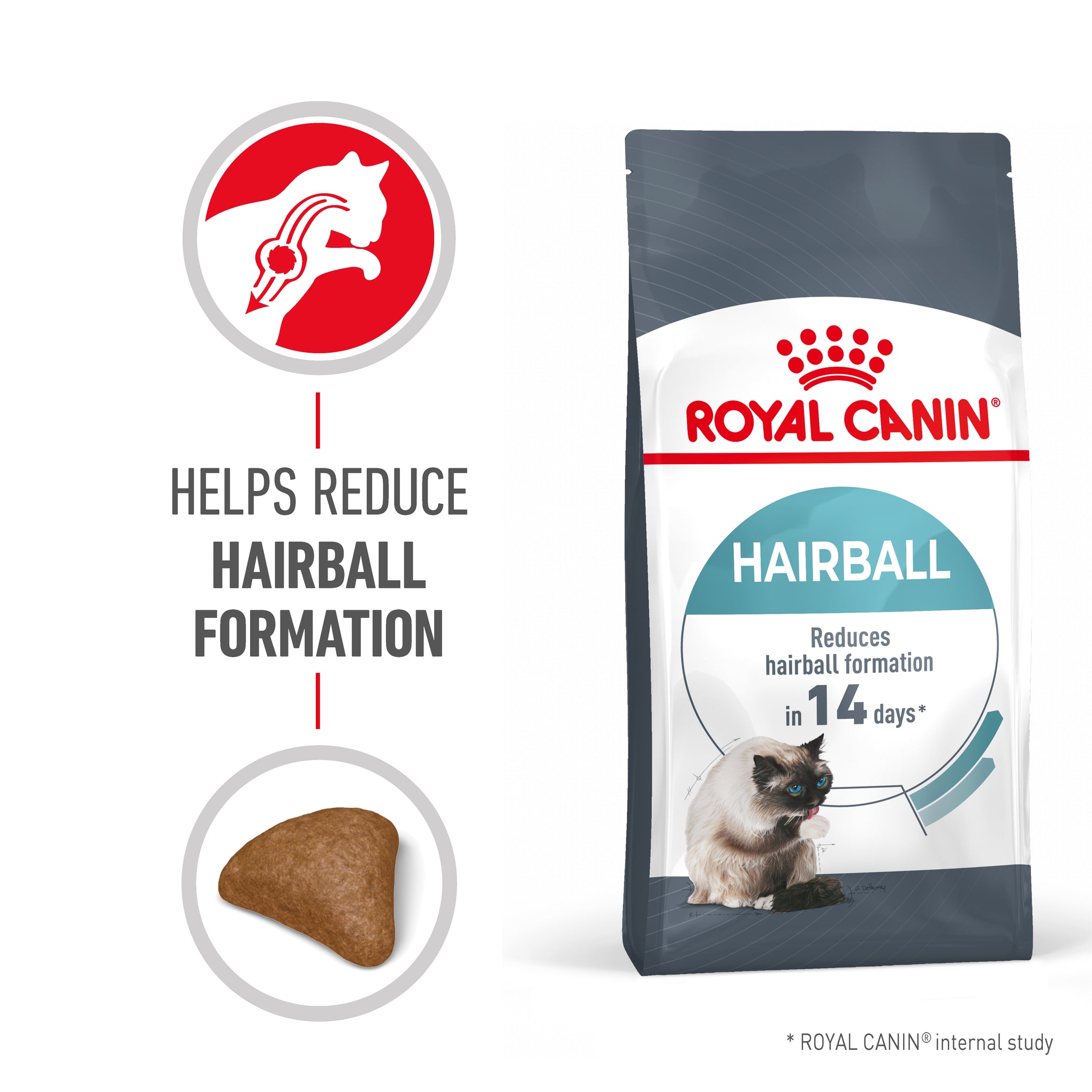 Royal Canin Hairball Care Adult Dry Cat Food