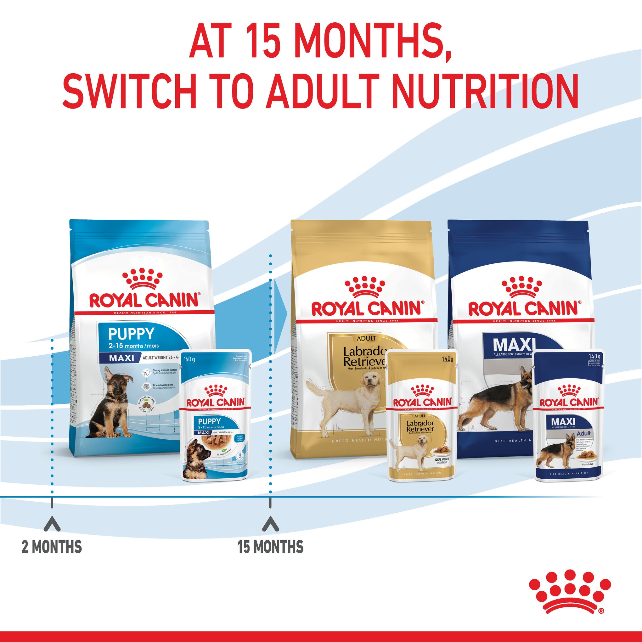 Royal Canin Maxi Puppy Wet Dog Food Pouches 140g x 10