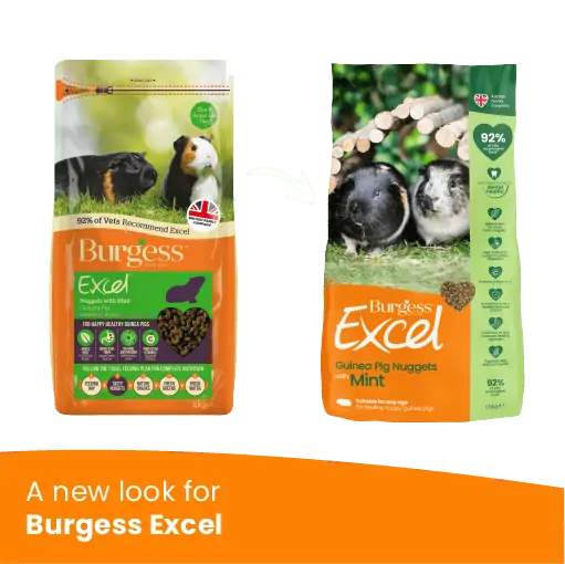Burgess Excel Adult Mint Guinea Pig Nuggets