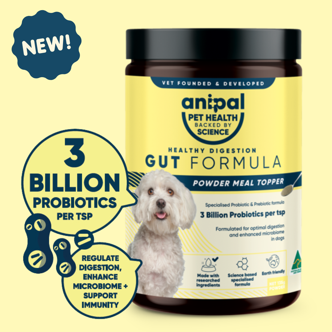 Anipal Dog Gut Formula Powder Meal Topper 135g
