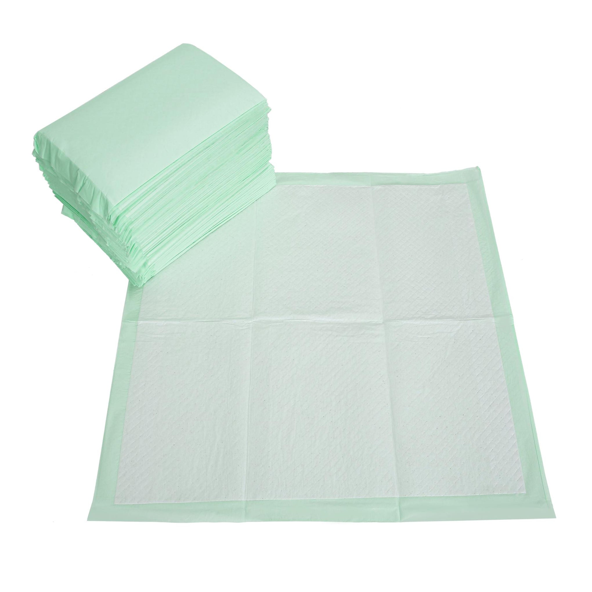 Arm and Hammer Green Tea Dog Training Pads