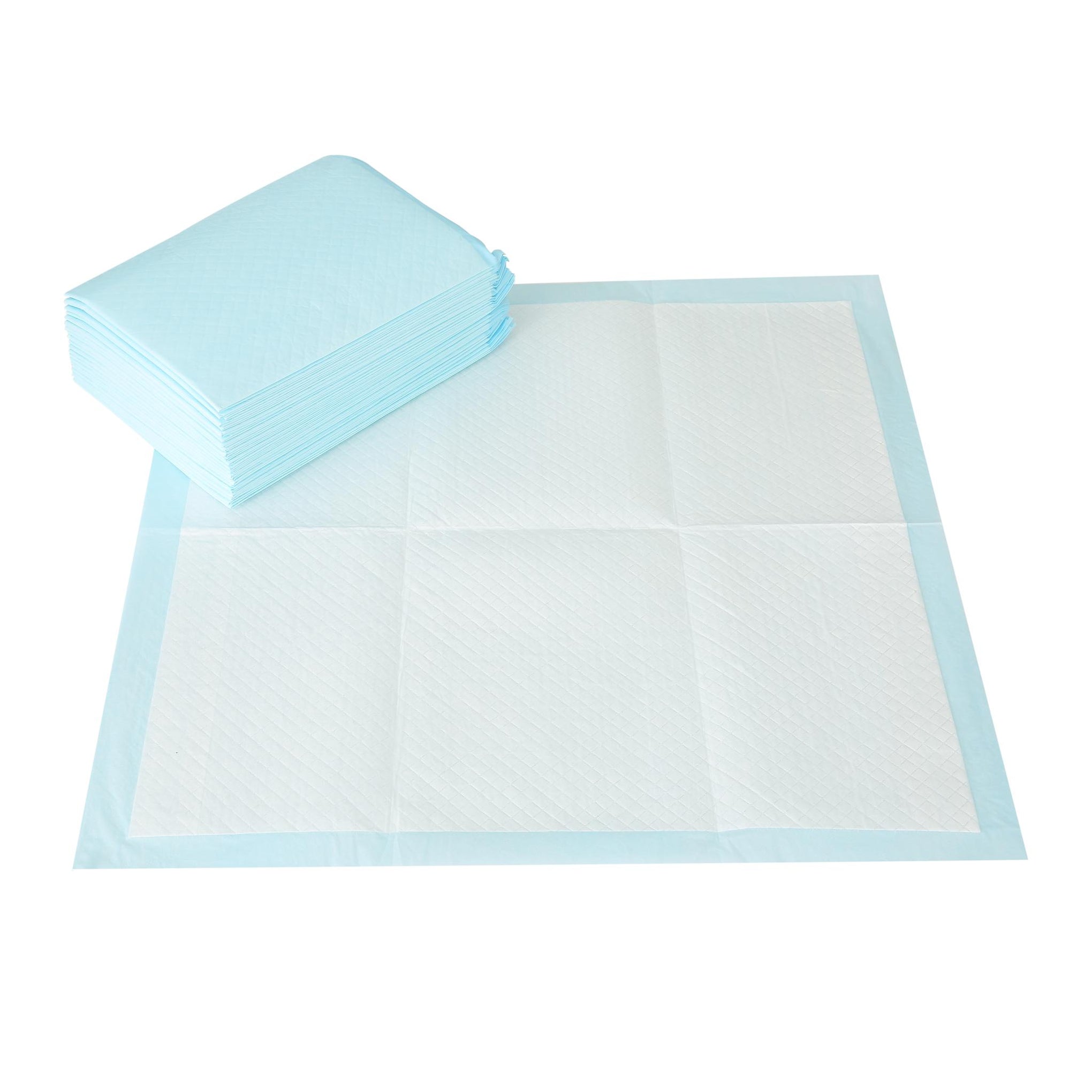 Arm and Hammer Puppy Pads with Attractant