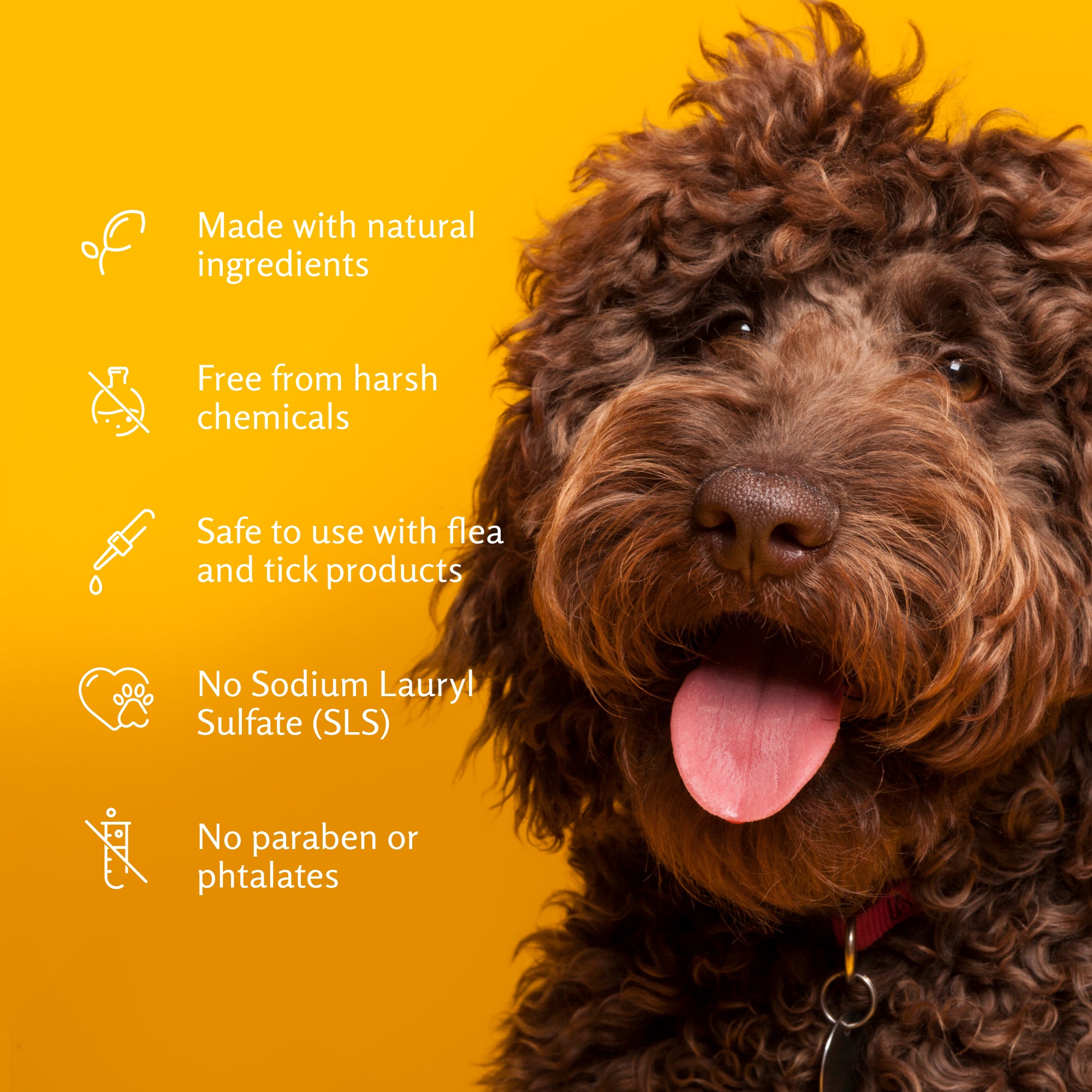 Arm and Hammer Tearless Puppy Shampoo