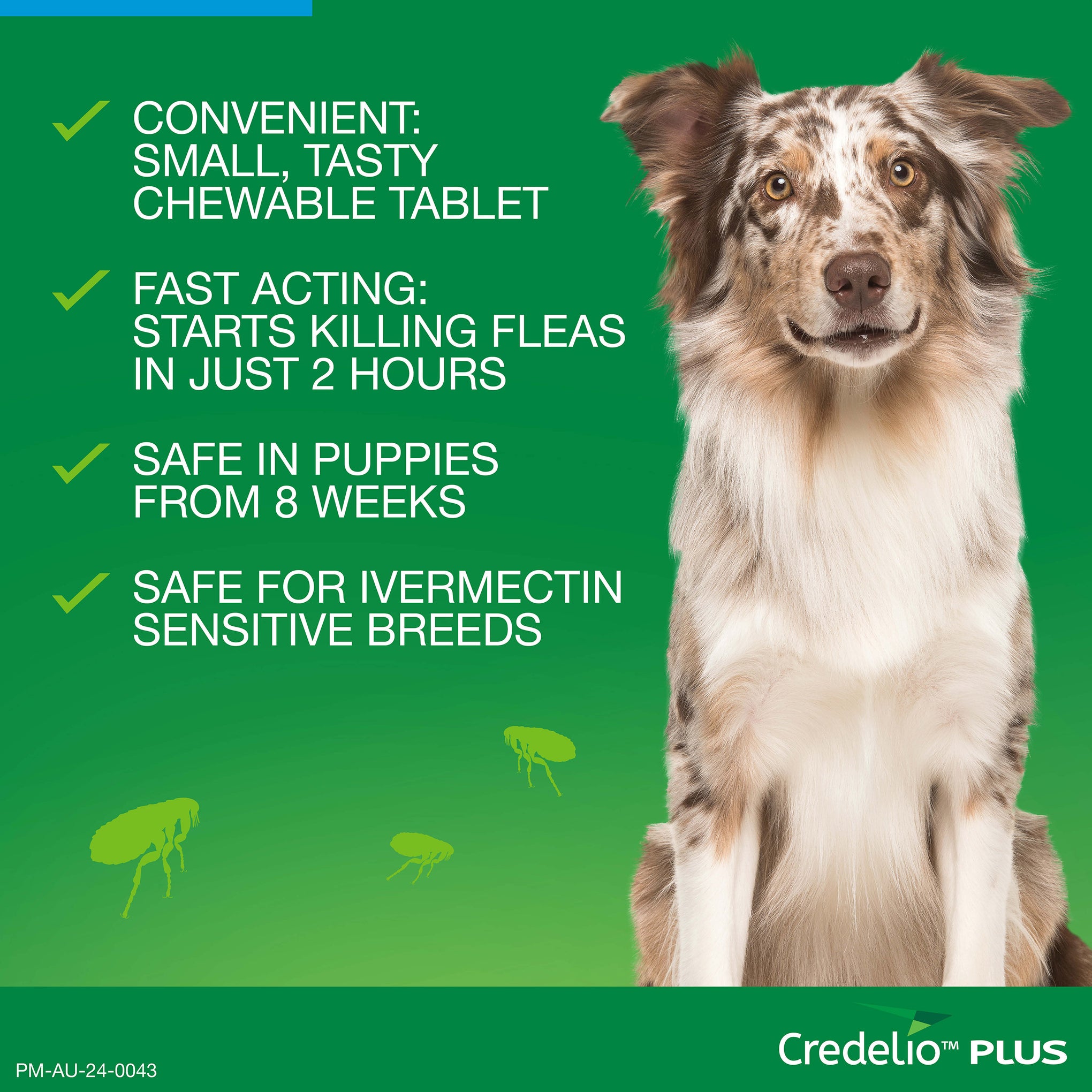 Credelio Plus Extra Large Dog Chews 22-45kg (Blue)