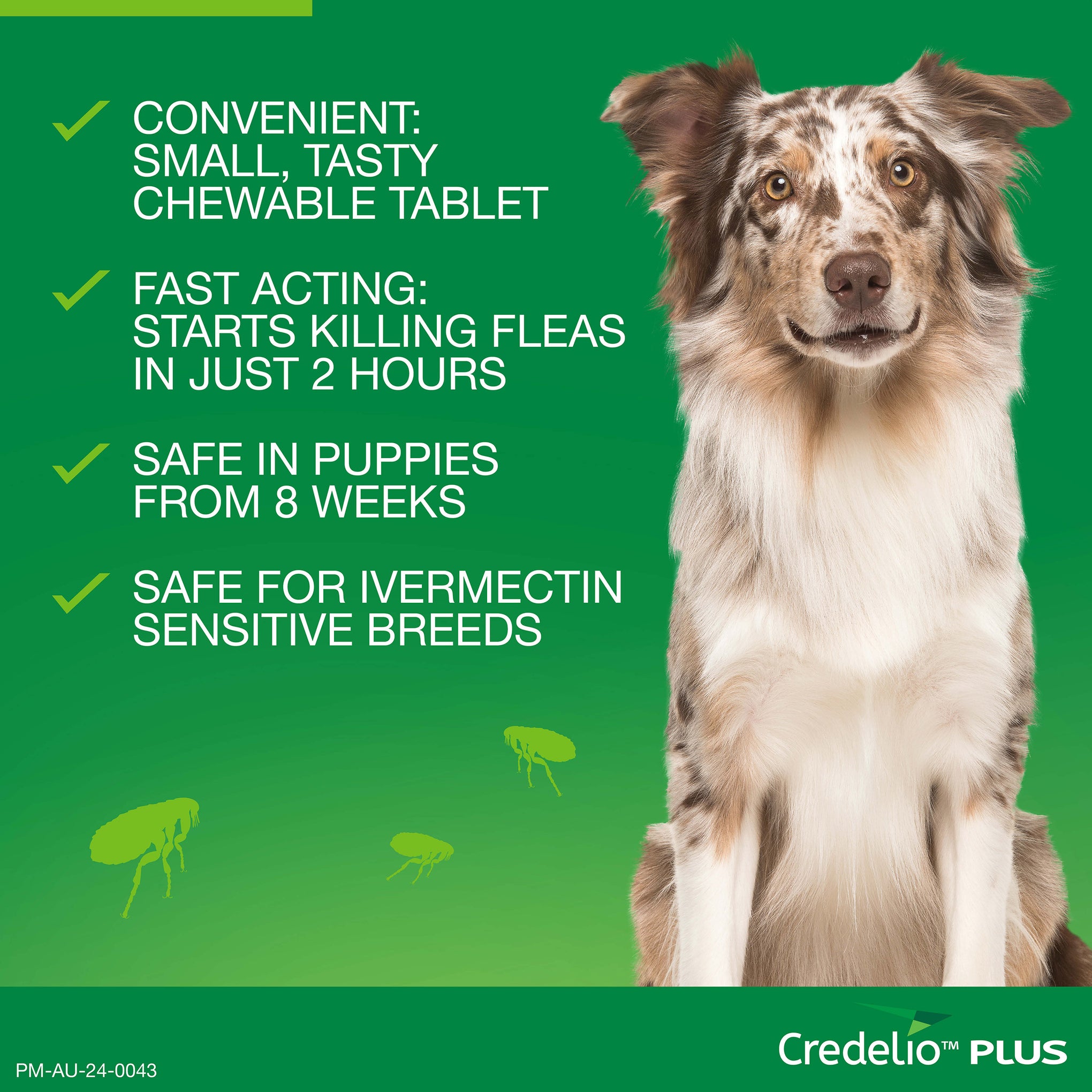 Credelio Plus Large Dog Chews 11-22kg (Green)