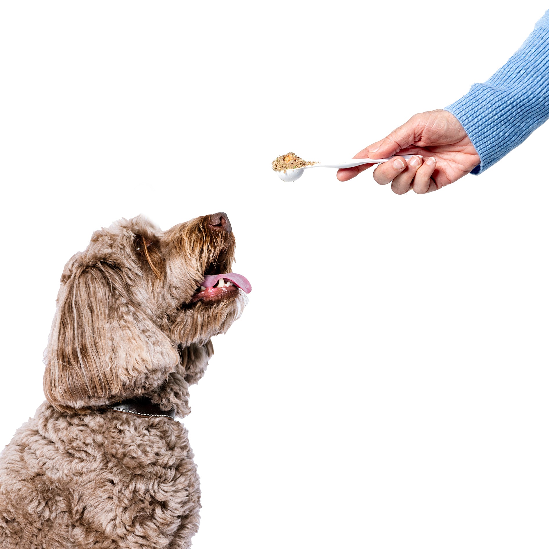 Houndztooth Raw Boost Meal Dog Topper Calming Health 60g