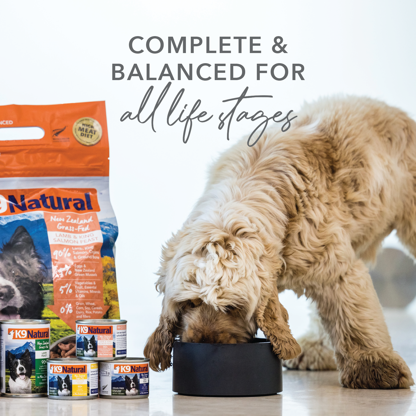 K9 Natural BPA Free & Gelatin Free Canned Dog Food Lamb