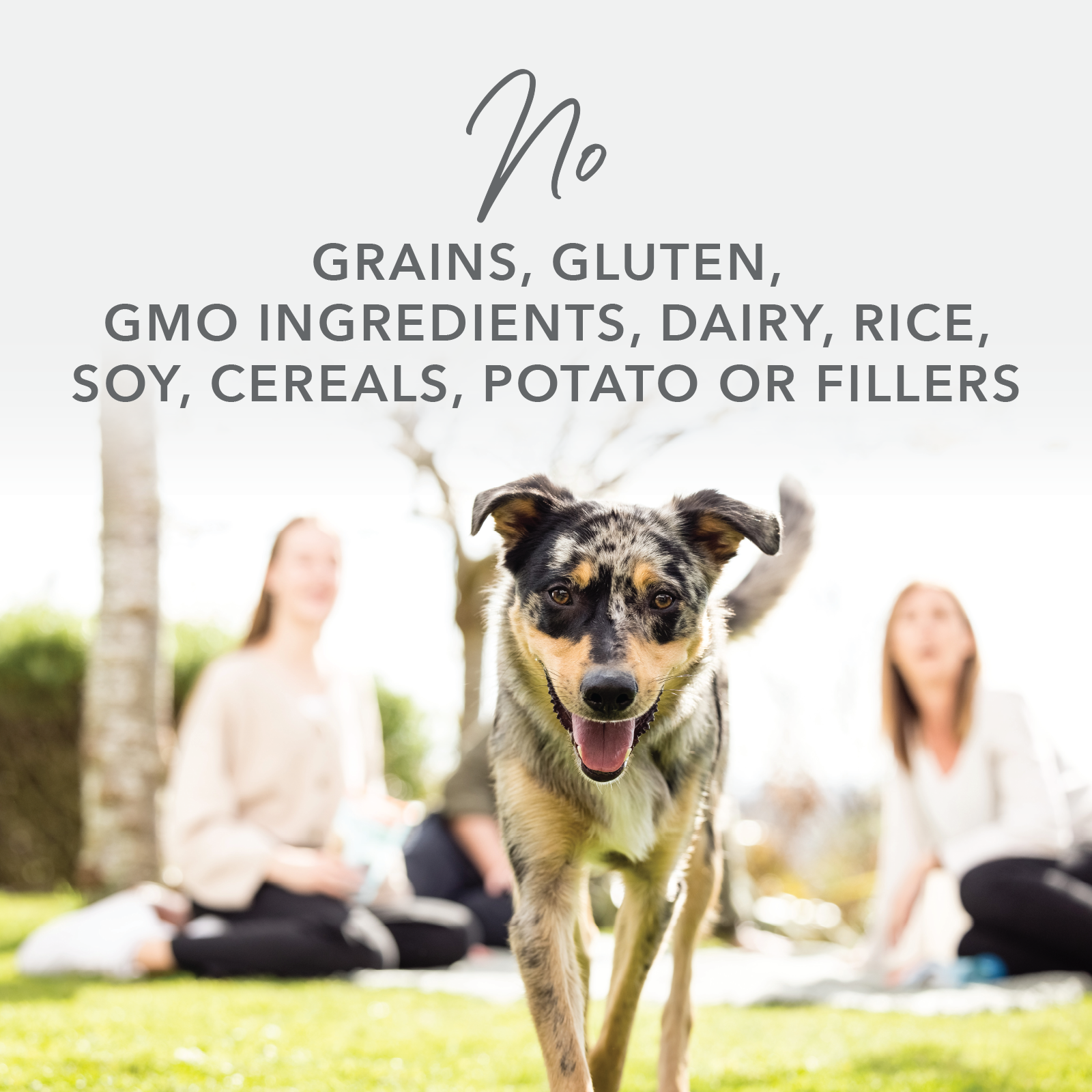 K9 Natural Grain Free Freeze Dried Dog Food Lamb
