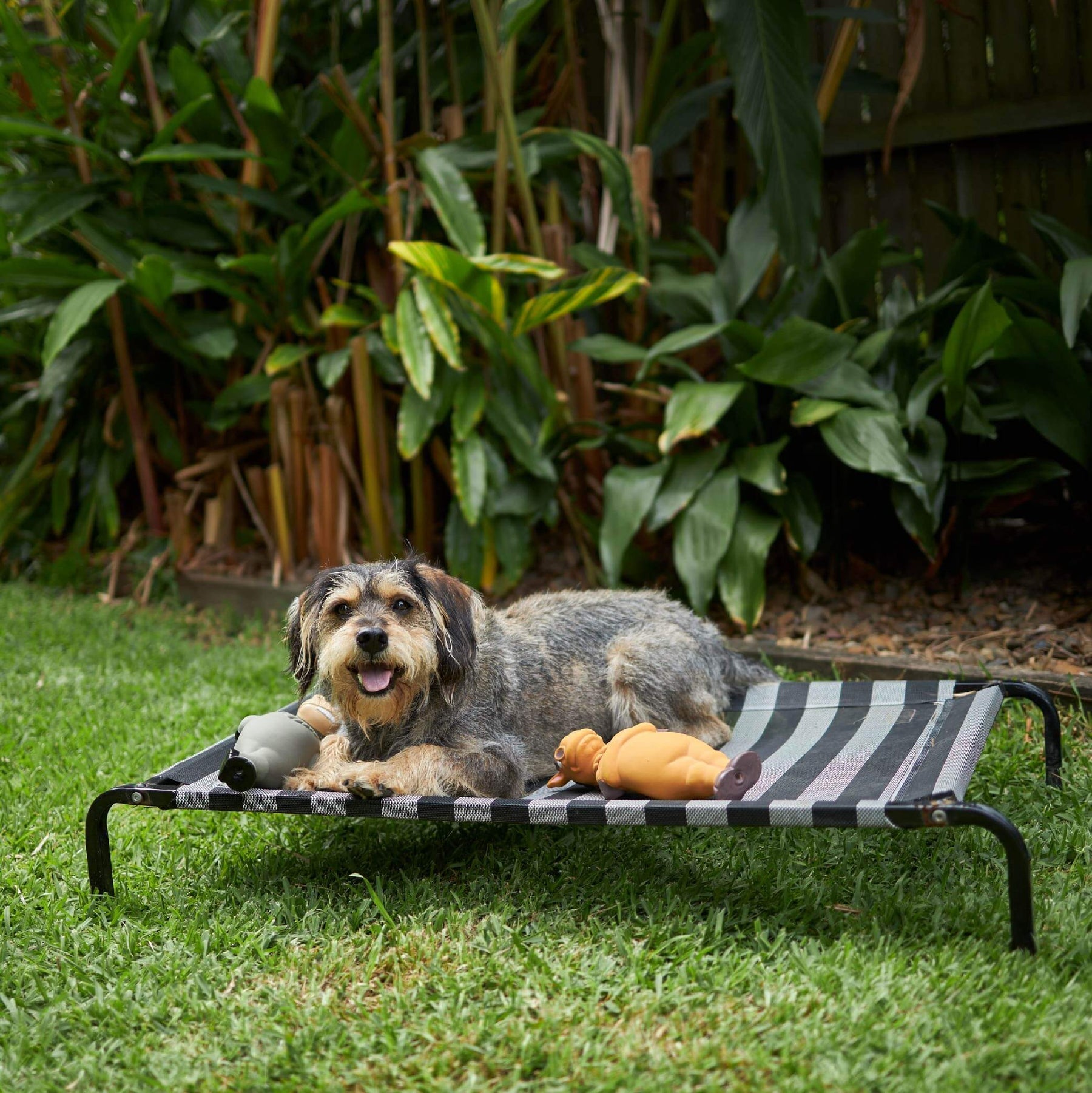 Kazoo Everyday Outdoor Dog Bed Black