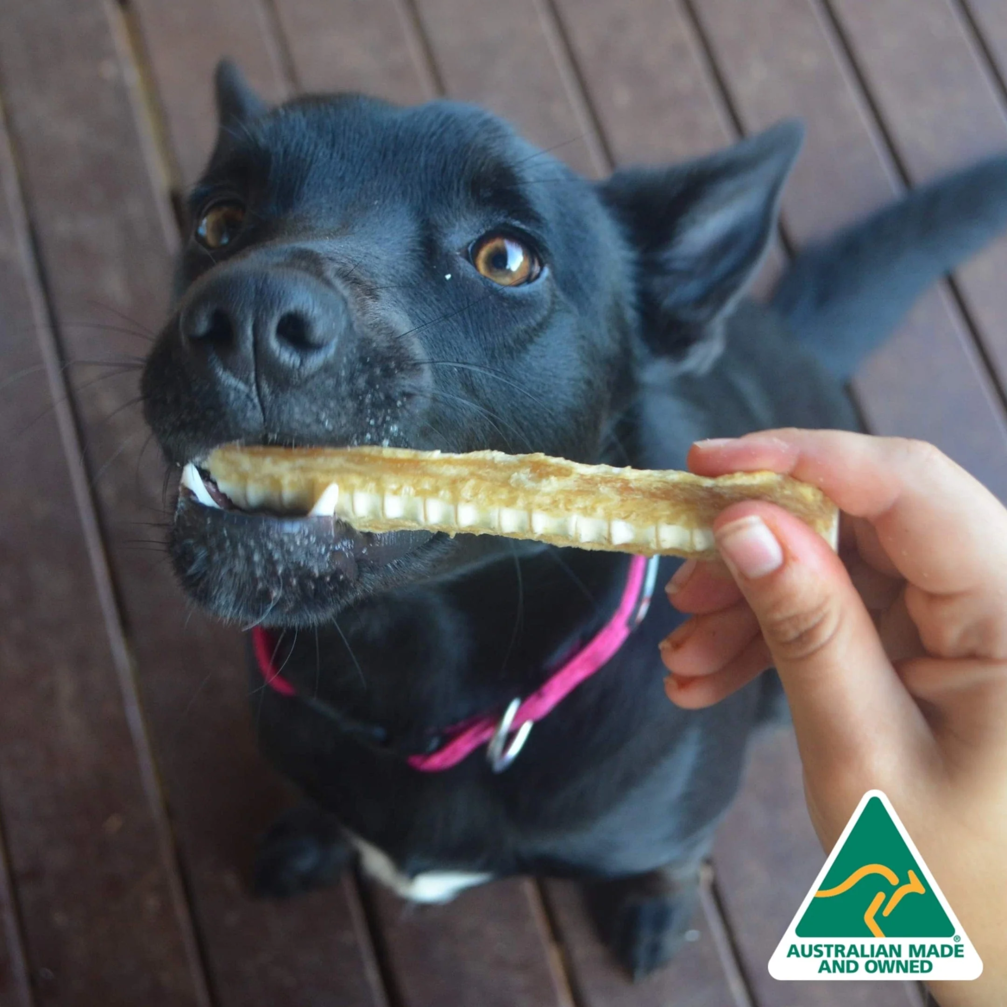 Lulu's Kitchen Don't Go Swimmin Shark Cartilage Dog Treat 100g