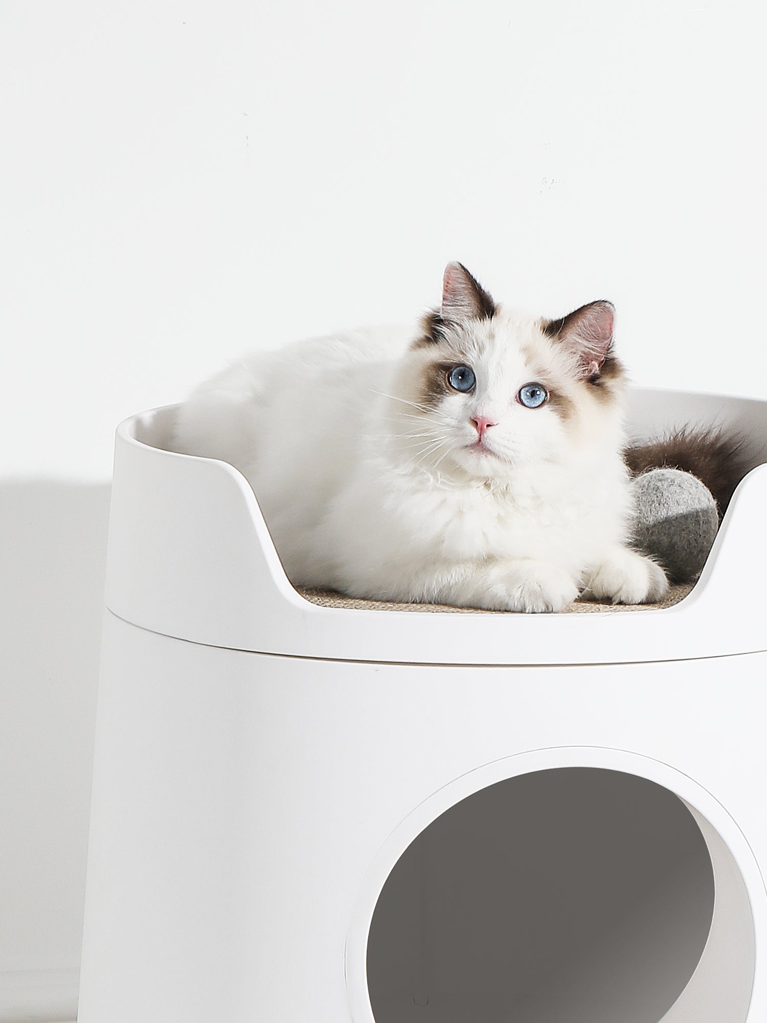 Michu Mayitwill Caste 2-in-1 Cat Litter Box and Scratcher White