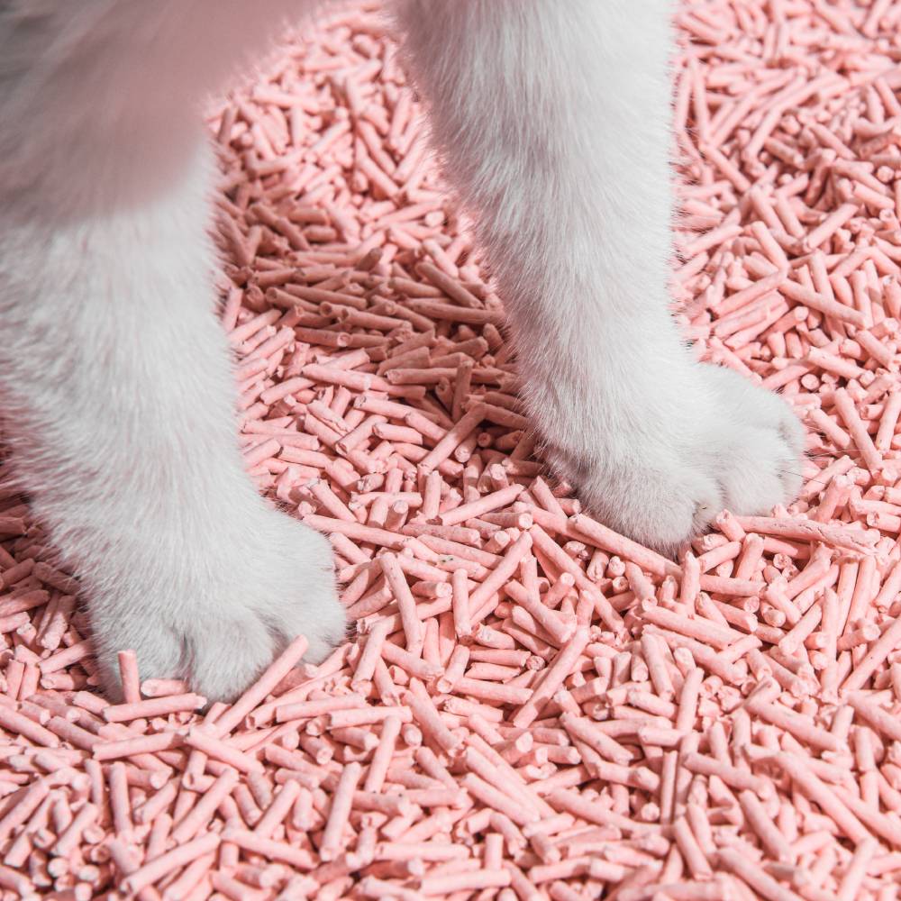 Michu Natural Clumping Tofu Cat Litter Peach 6L