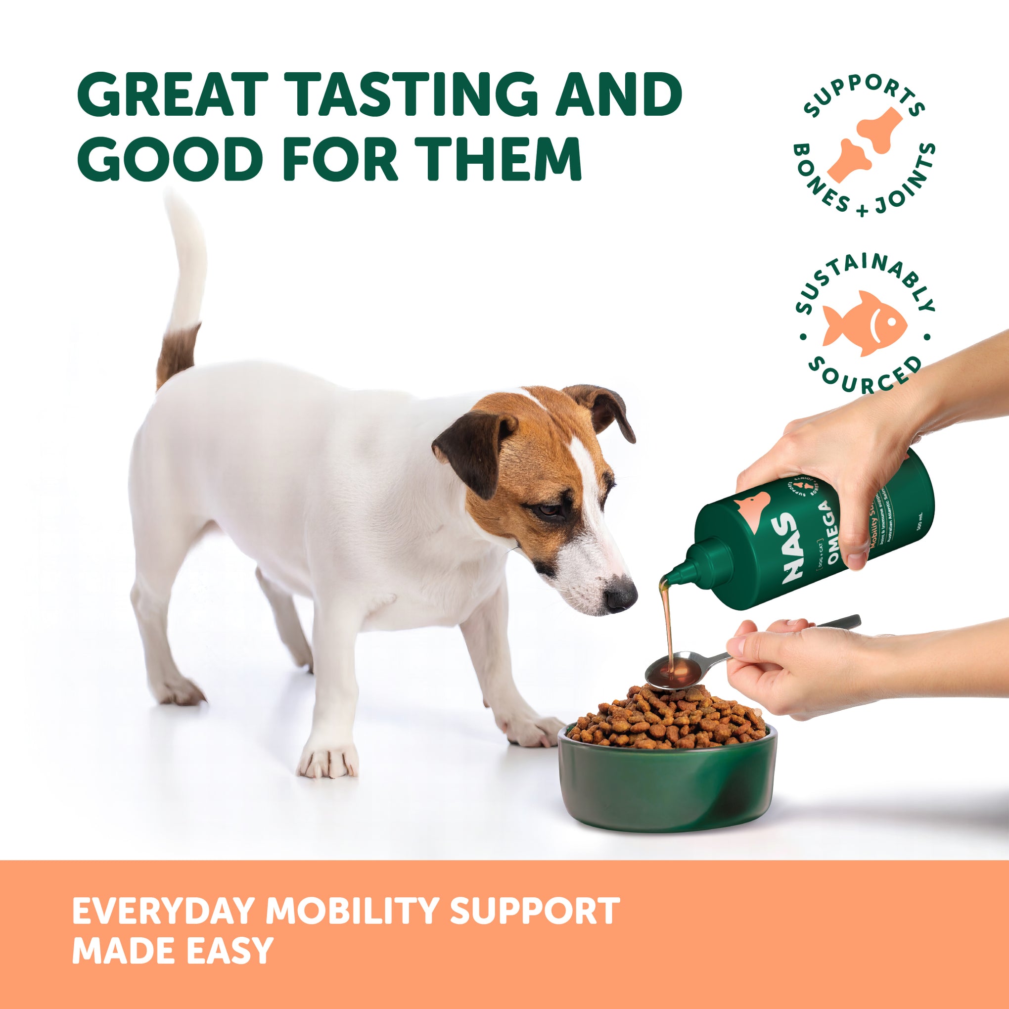 NAS Salmon Omega Oil for Dogs and Cats 500ml