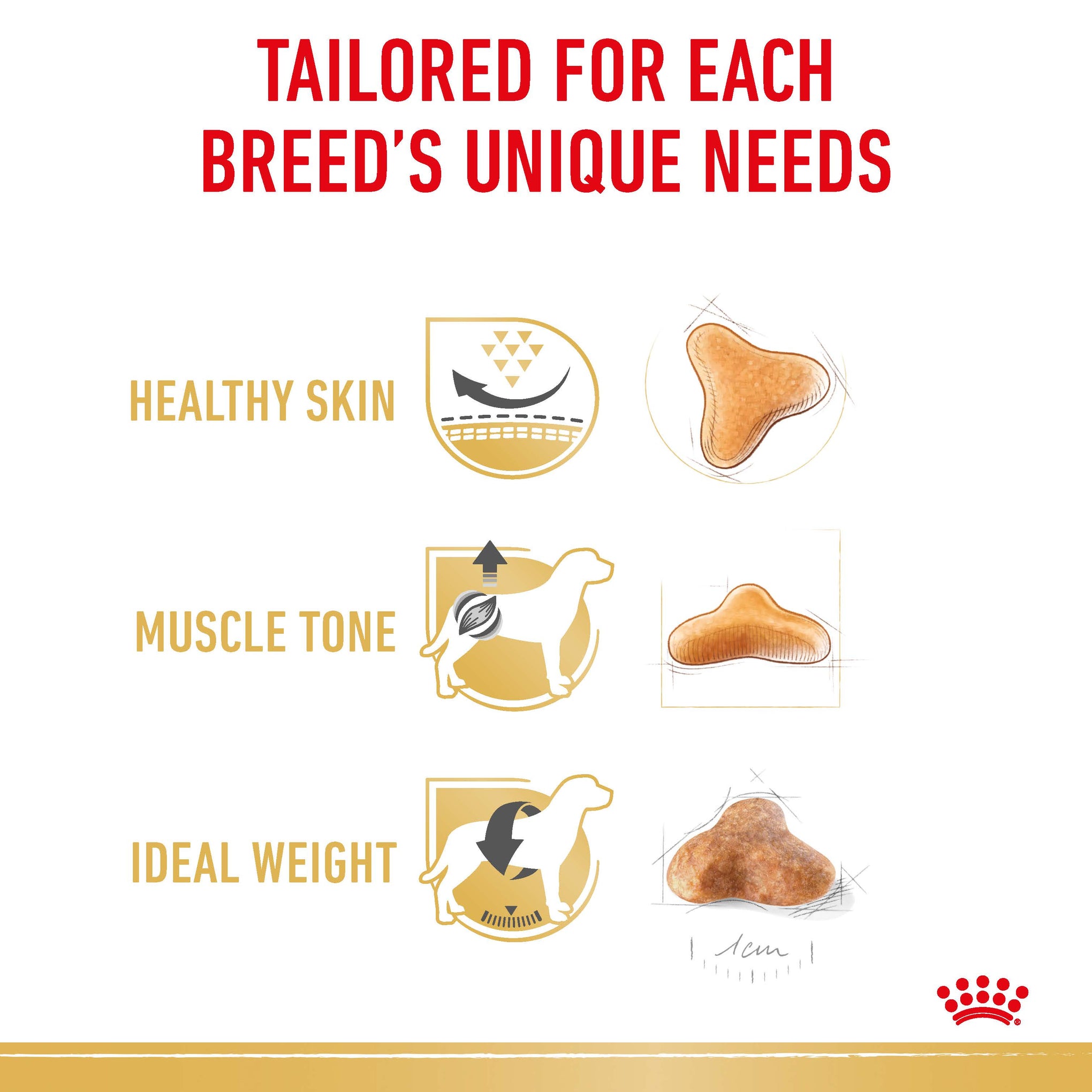 Royal Canin Dog Pug Adult Dry Food