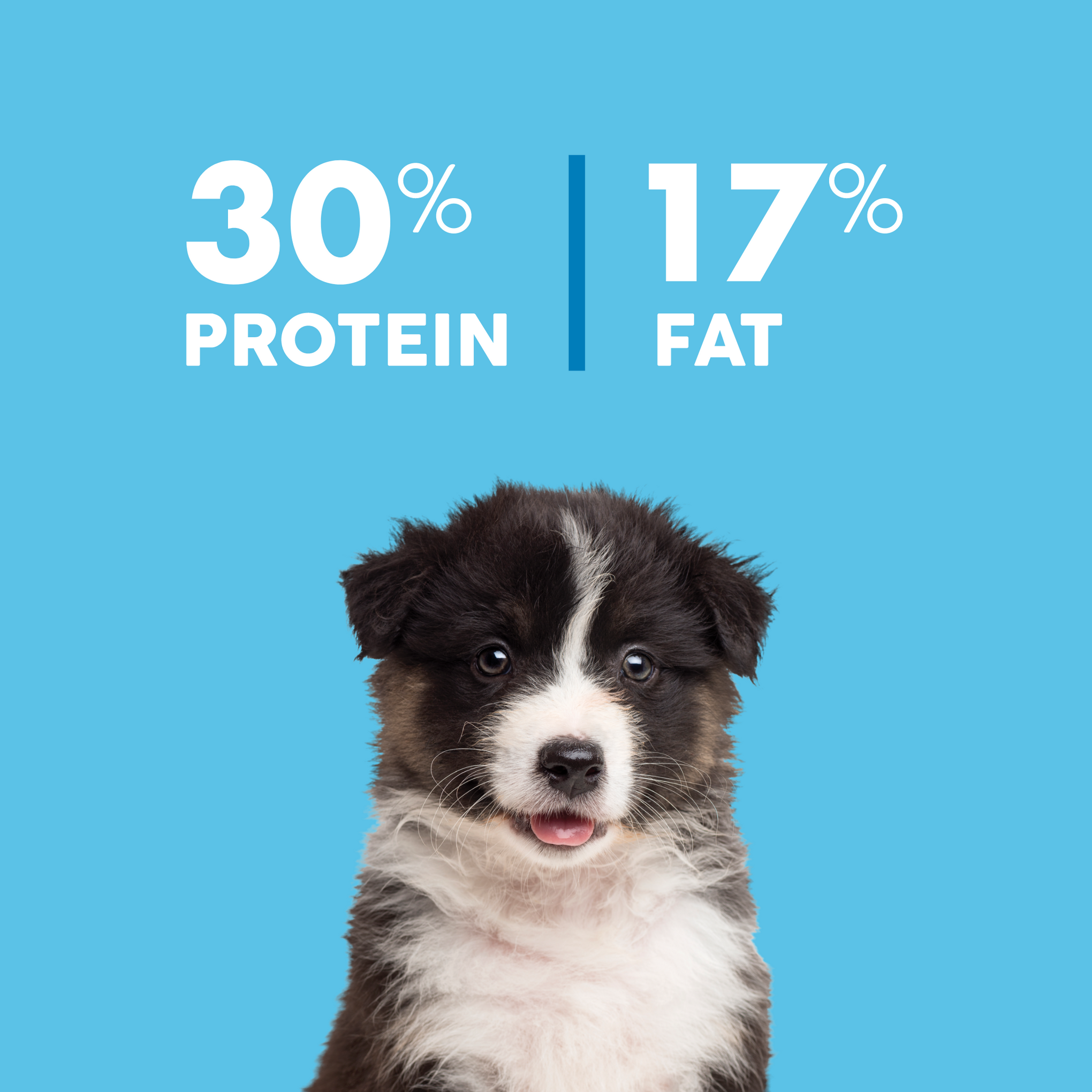 True Colours Puppy Chicken & Brown Rice Dry Dog Food