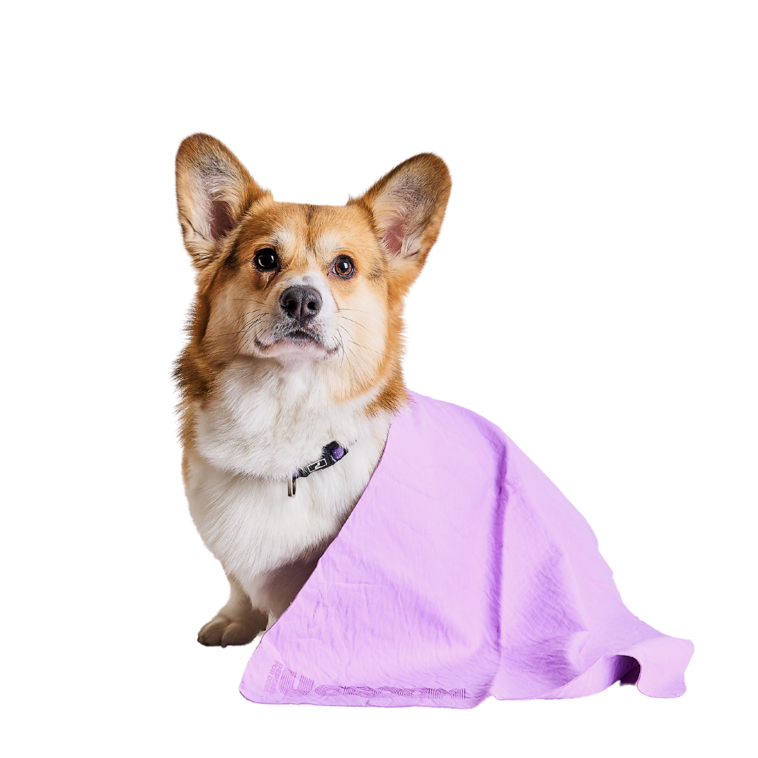 U GROOM Dog Drying Towel