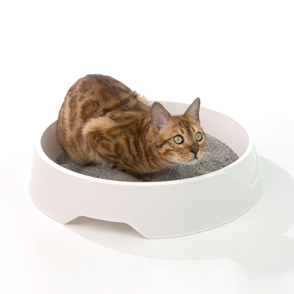 ZODIAC Natural Way Superfine Bentonite With Activated Charcoal Cat Litter 4.5Kg