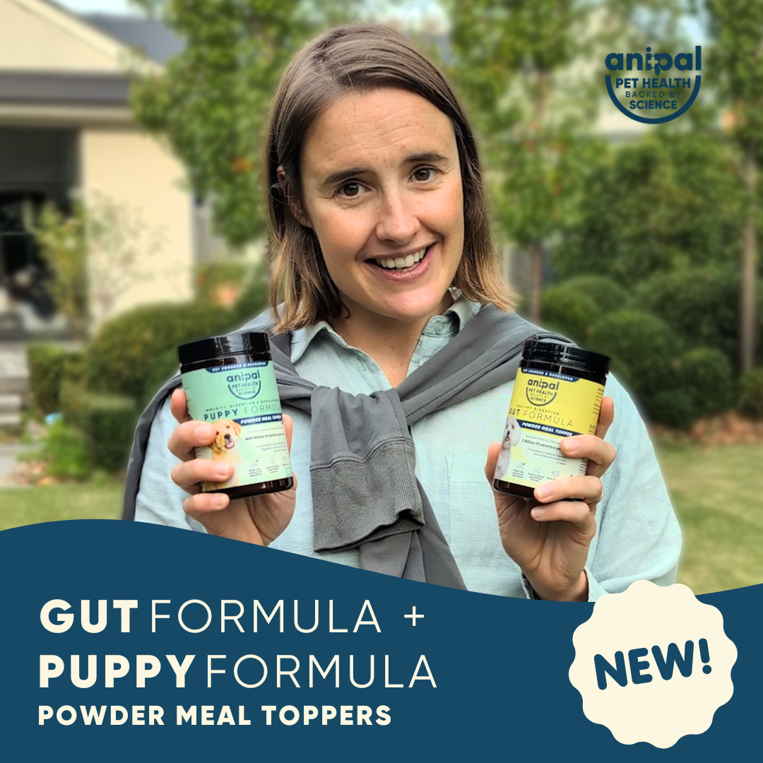 Anipal Dog Gut Formula Powder Meal Topper 135g