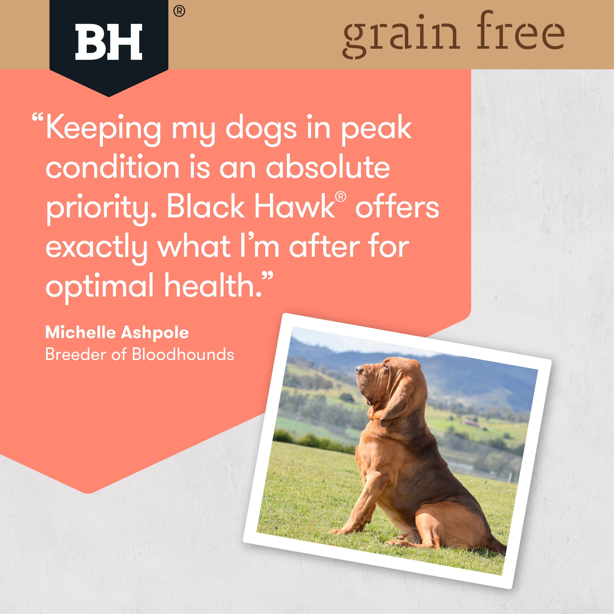Black Hawk Grain Free Adult Salmon Dry Dog Food