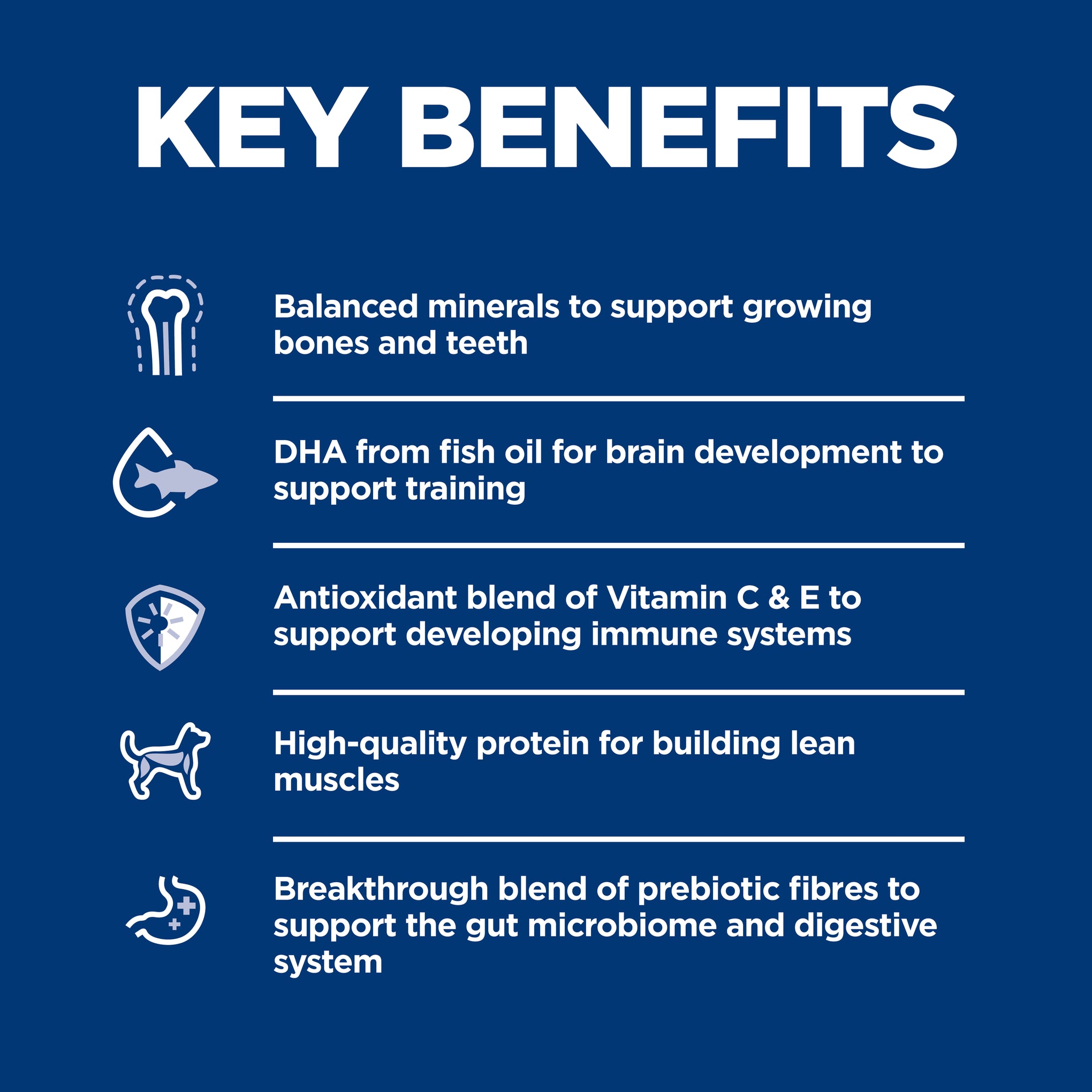 Hill's Science Diet Puppy Dry Dog Food