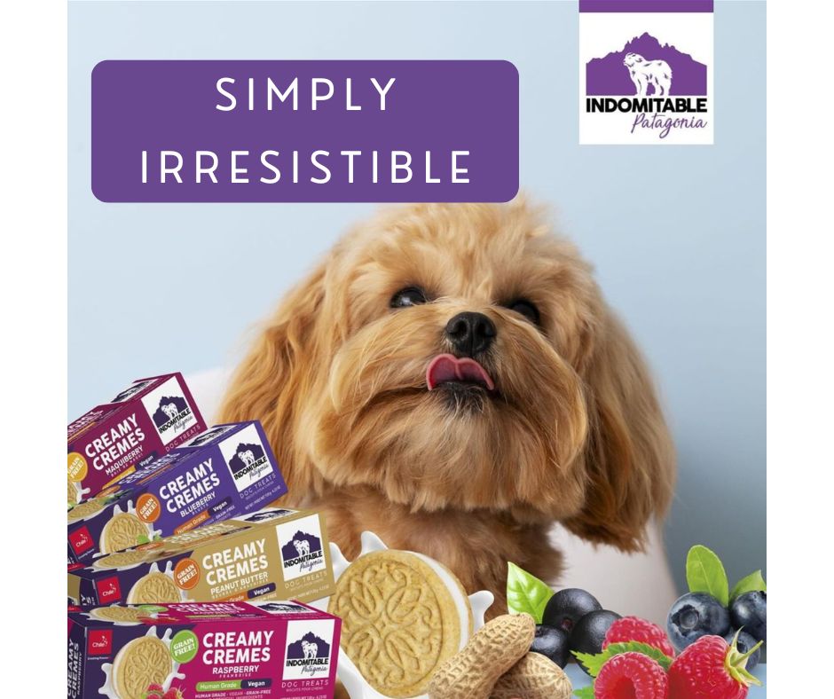 Indomitable Patagonia Creamy Cremes Raspberry Grain Free Dog Treats 120g