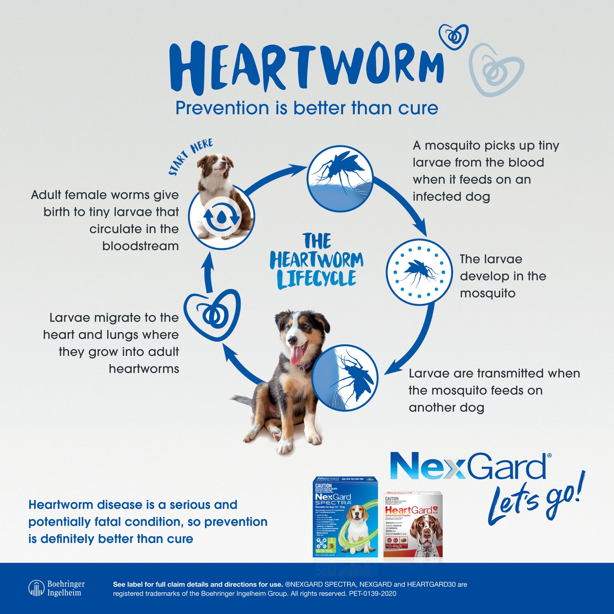 NexGard SPECTRA Medium Dog Chews 7.6-15kg